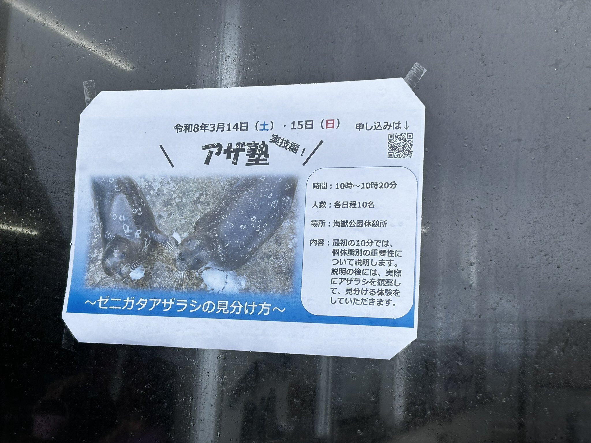 おたる水族館のアザ塾に行きました！【ゼニガタ編】｜みずみや6号