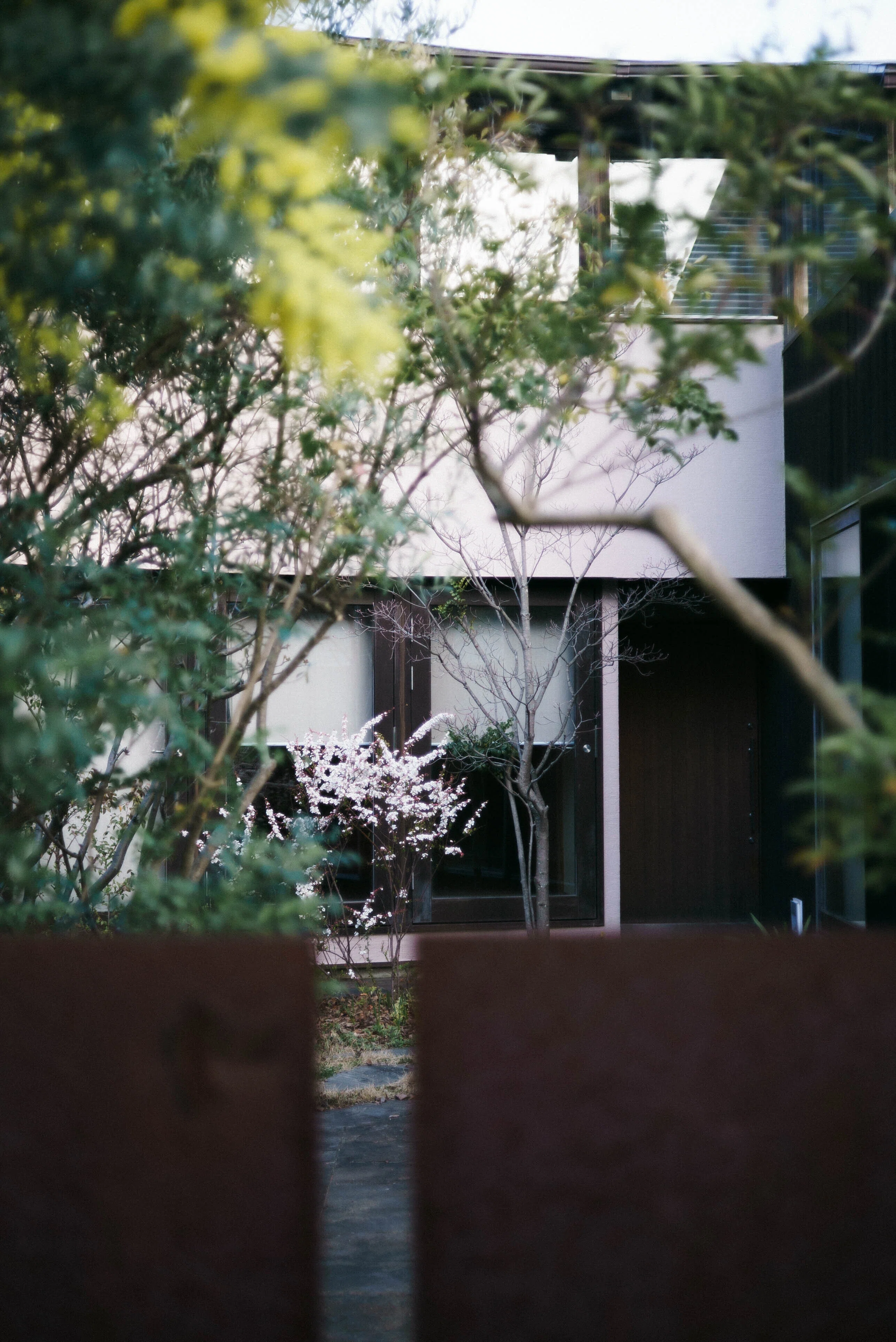 MD ROKKOR 45mm F2｜sgk