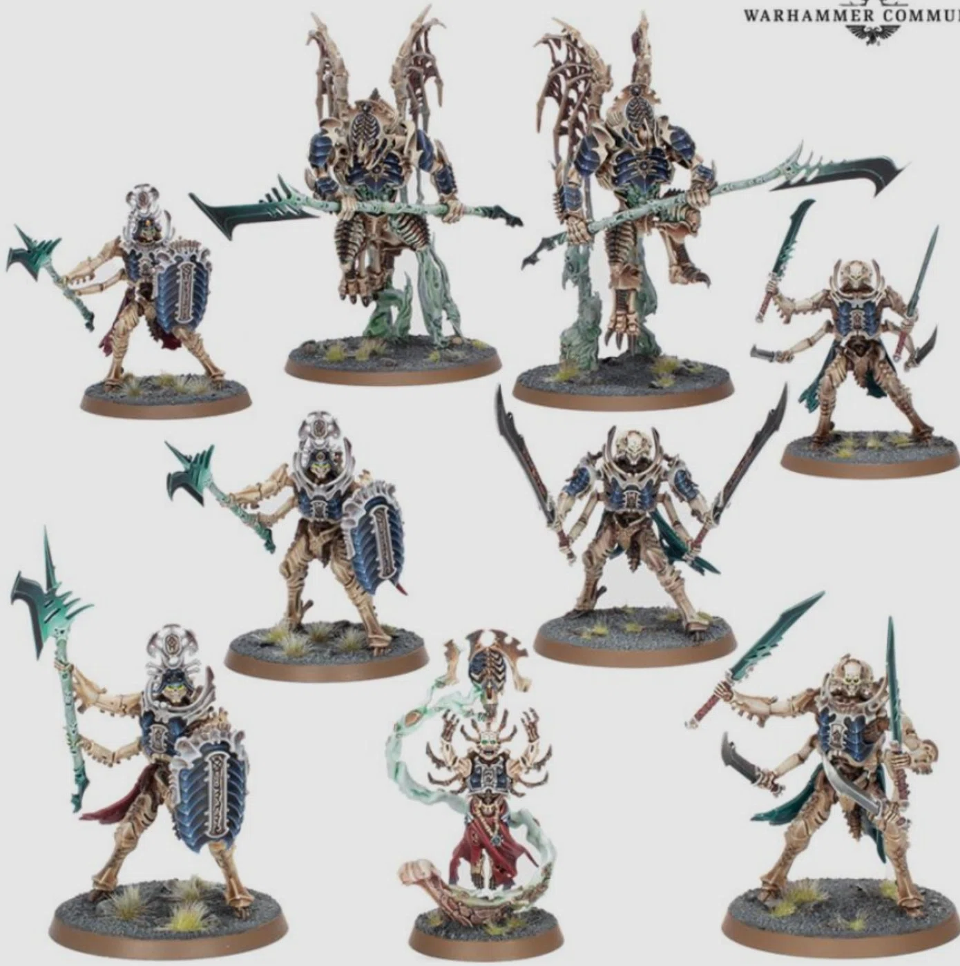 AoS4版】スピアヘッドから始める軍拡マニュアル⑥オシアーク・ボーン