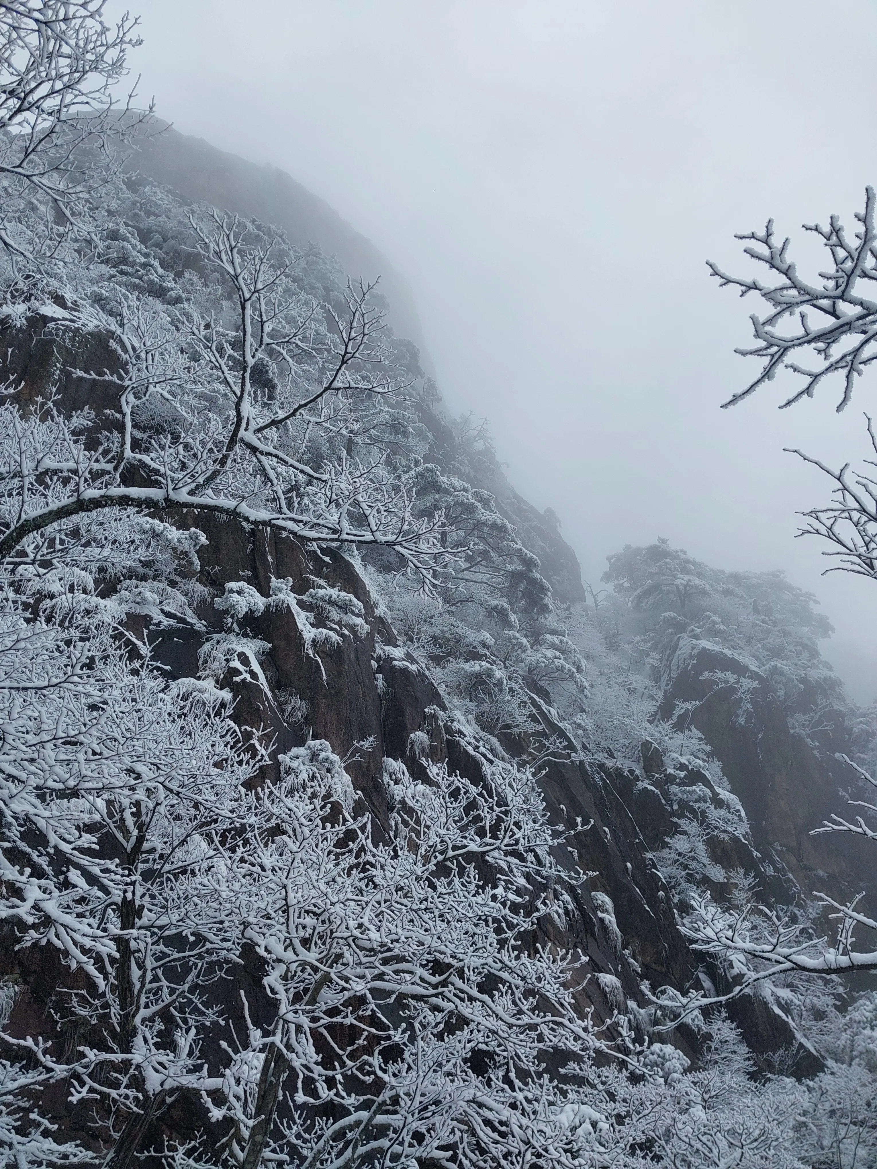 中国 安徽省 2月の黄山が美しすぎた件！！🏔｜wine