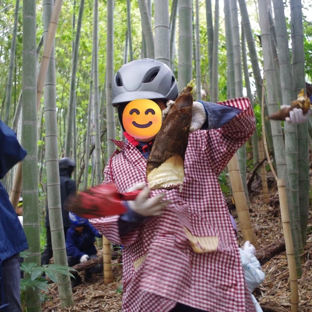 天野谷津で筍掘り【3/28～受付開始！】｜森と緑の研究室