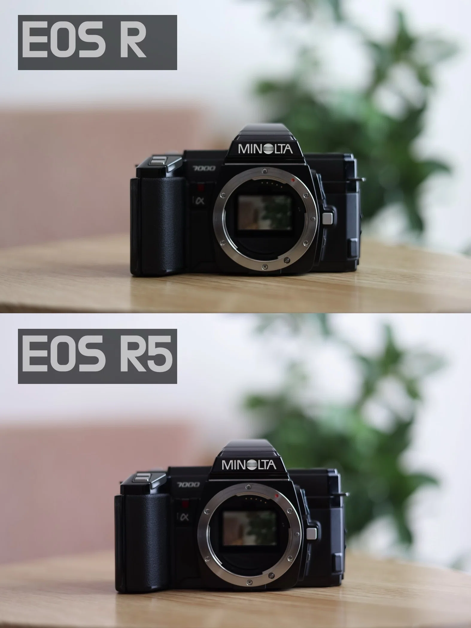 EOS R5の露出傾向を検証してみた｜絞り開放戦線