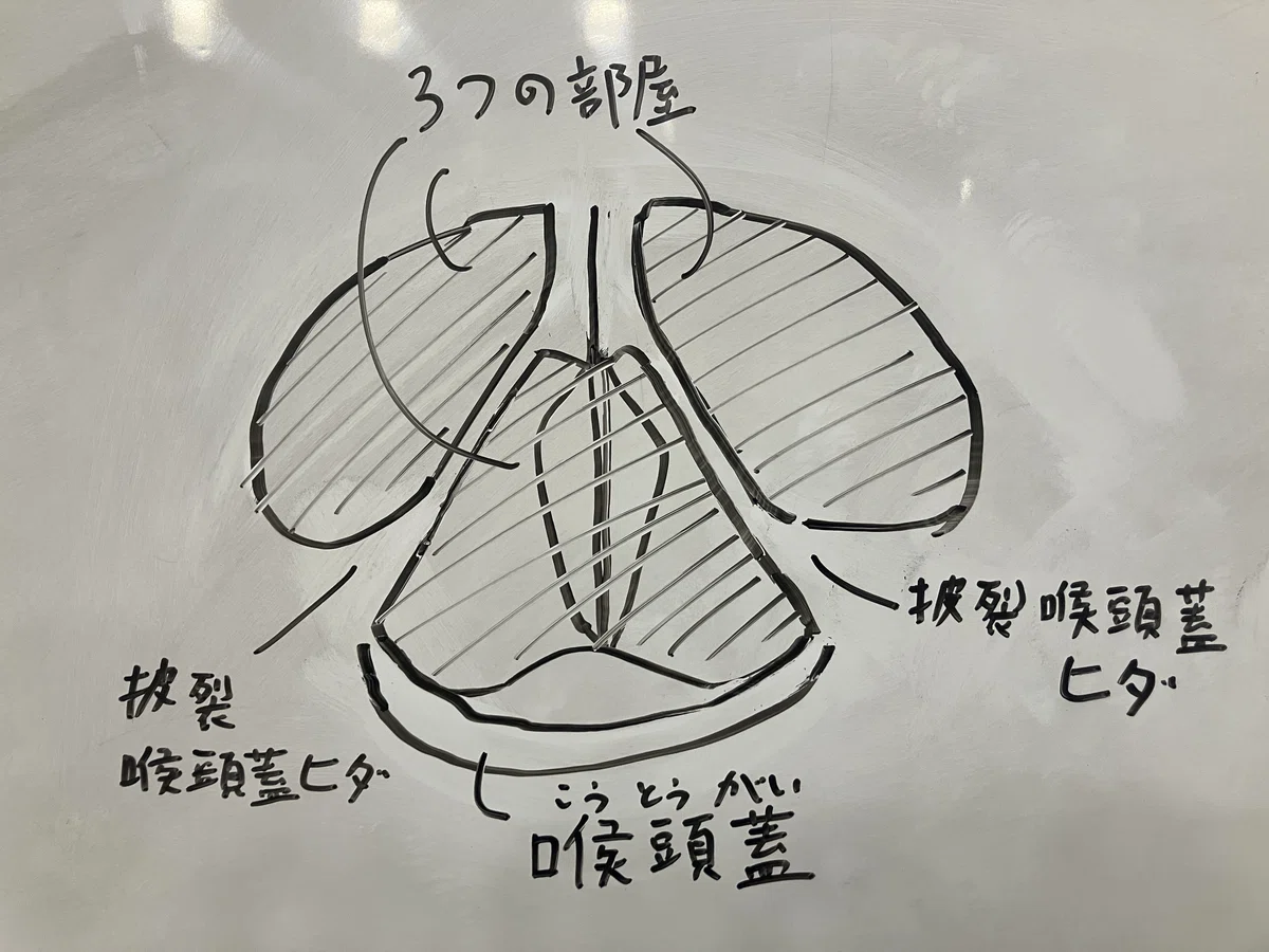 「良い声」とは? (注意:内視鏡映像あり)|あいひ