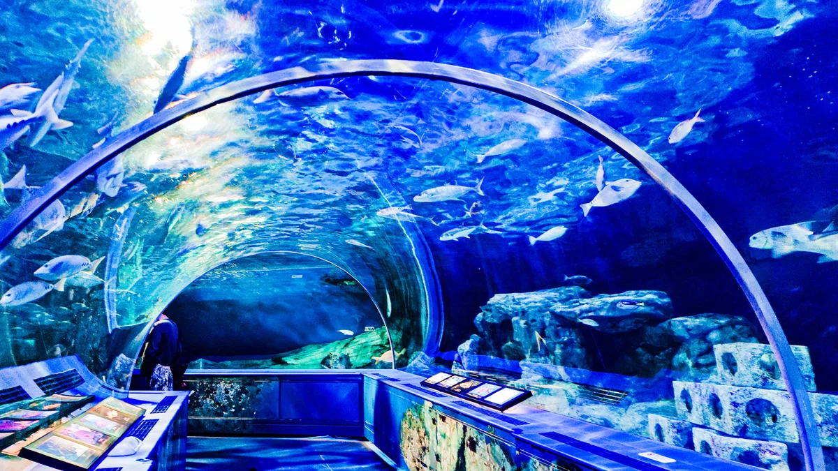 水族館のレタッチが楽しすぎて、夢中になってた。写真を沢山載せるので 