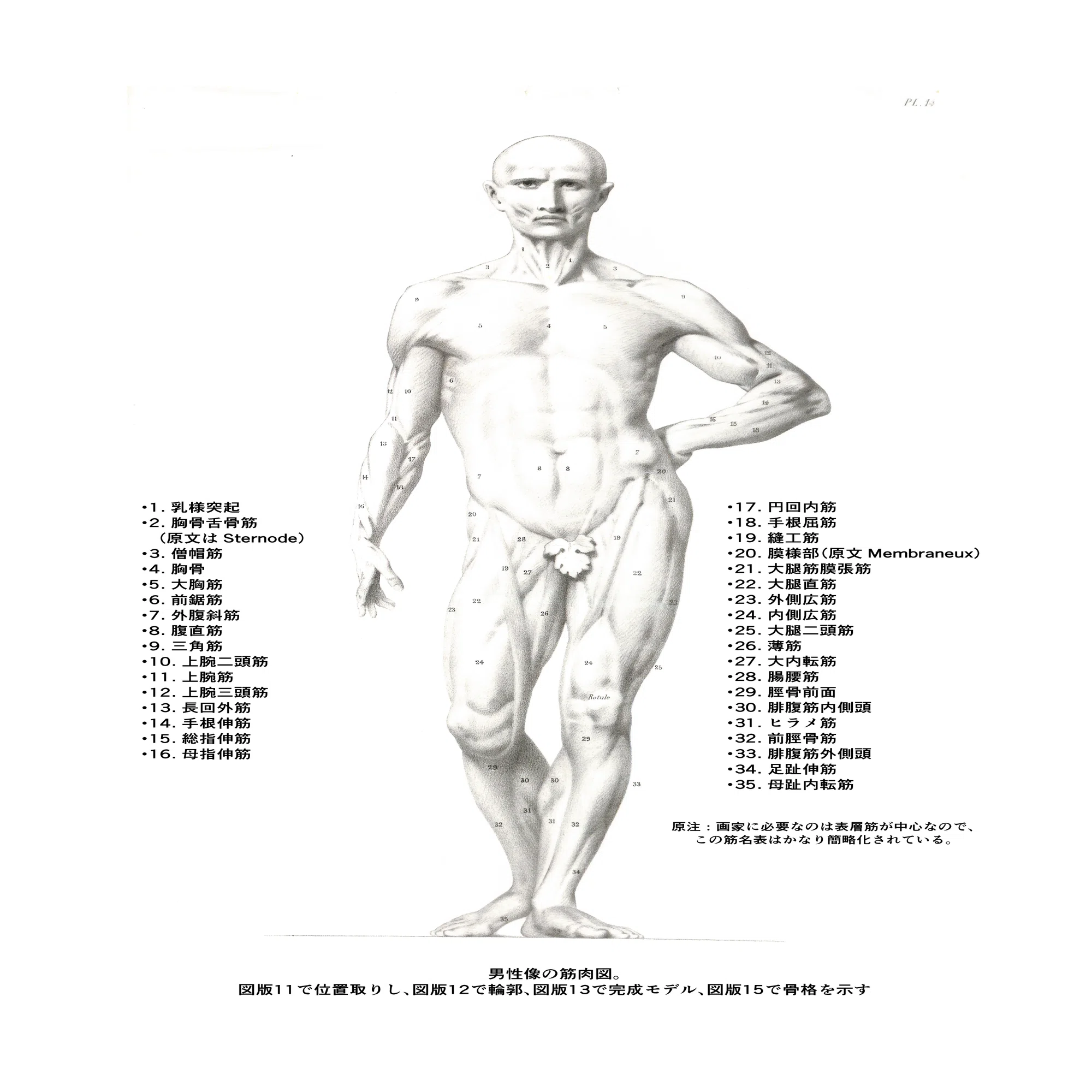 サージェントの師が遺した「幻のデッサン教本」を翻訳してみた～1867年