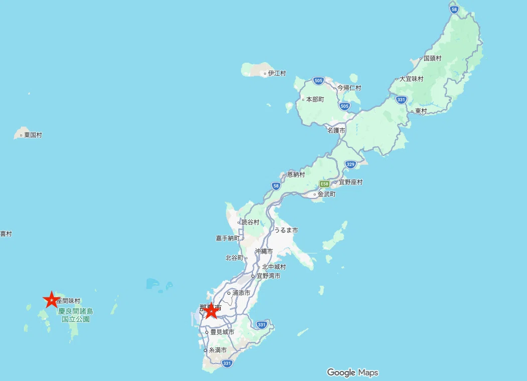 沖縄6日目】クジラと出会った日。座間味島で人生が変わる経験をした話
