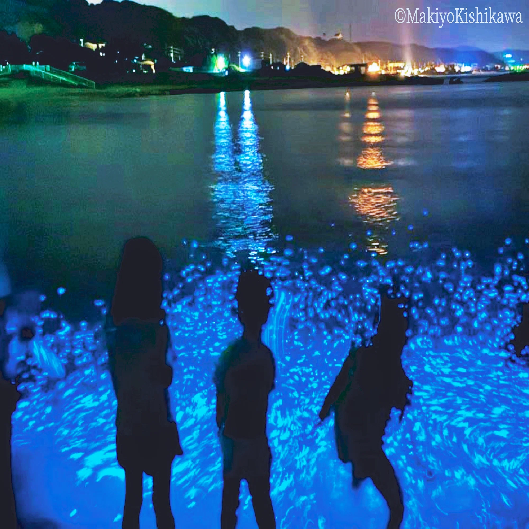 海 ほたる 淡路島