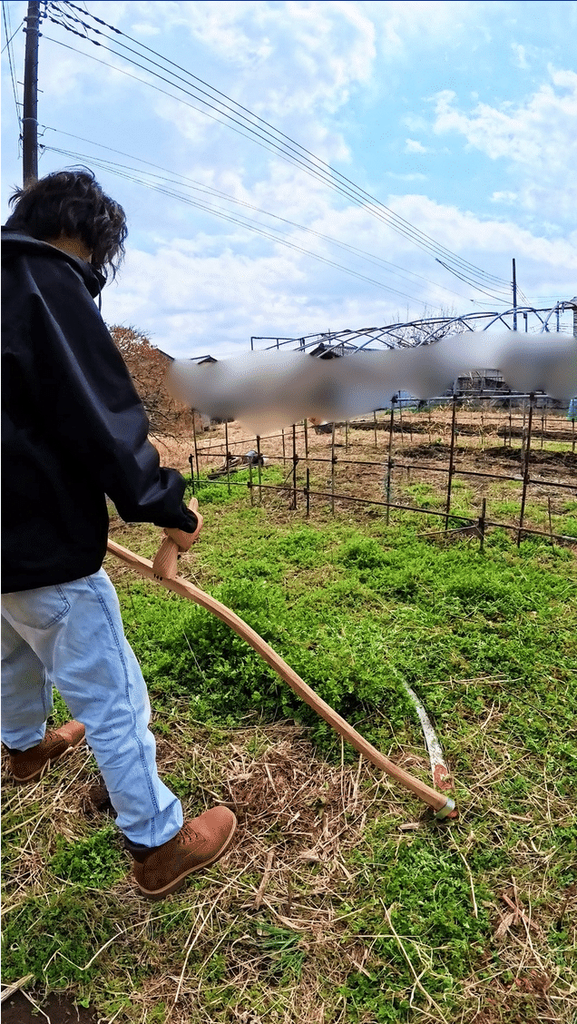 西洋大鎌 I mowed the grass with a super scythe and the weeds disappeared