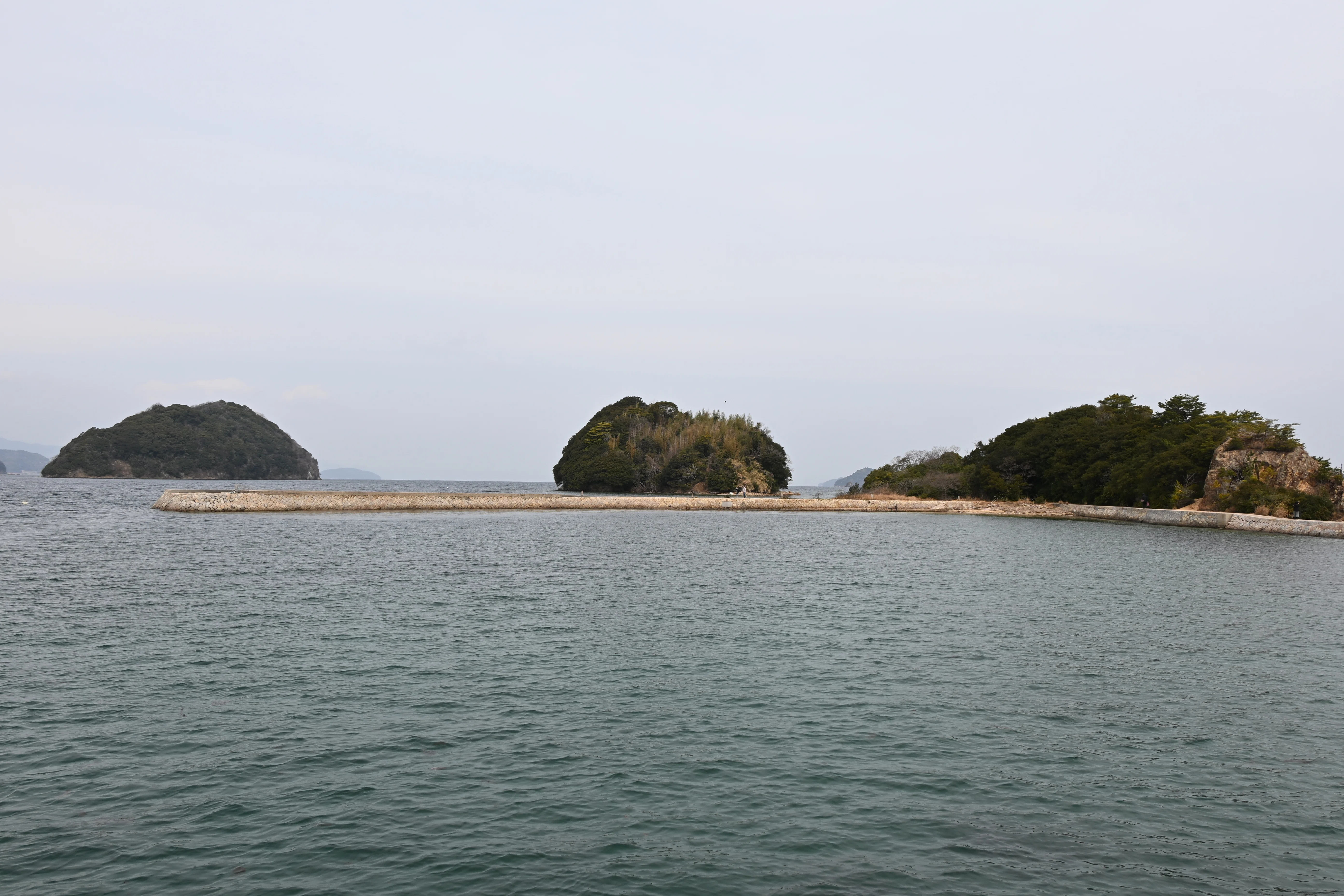 20260307_周防大島観光【Nikon Z50IIと観光】｜山ネズミ