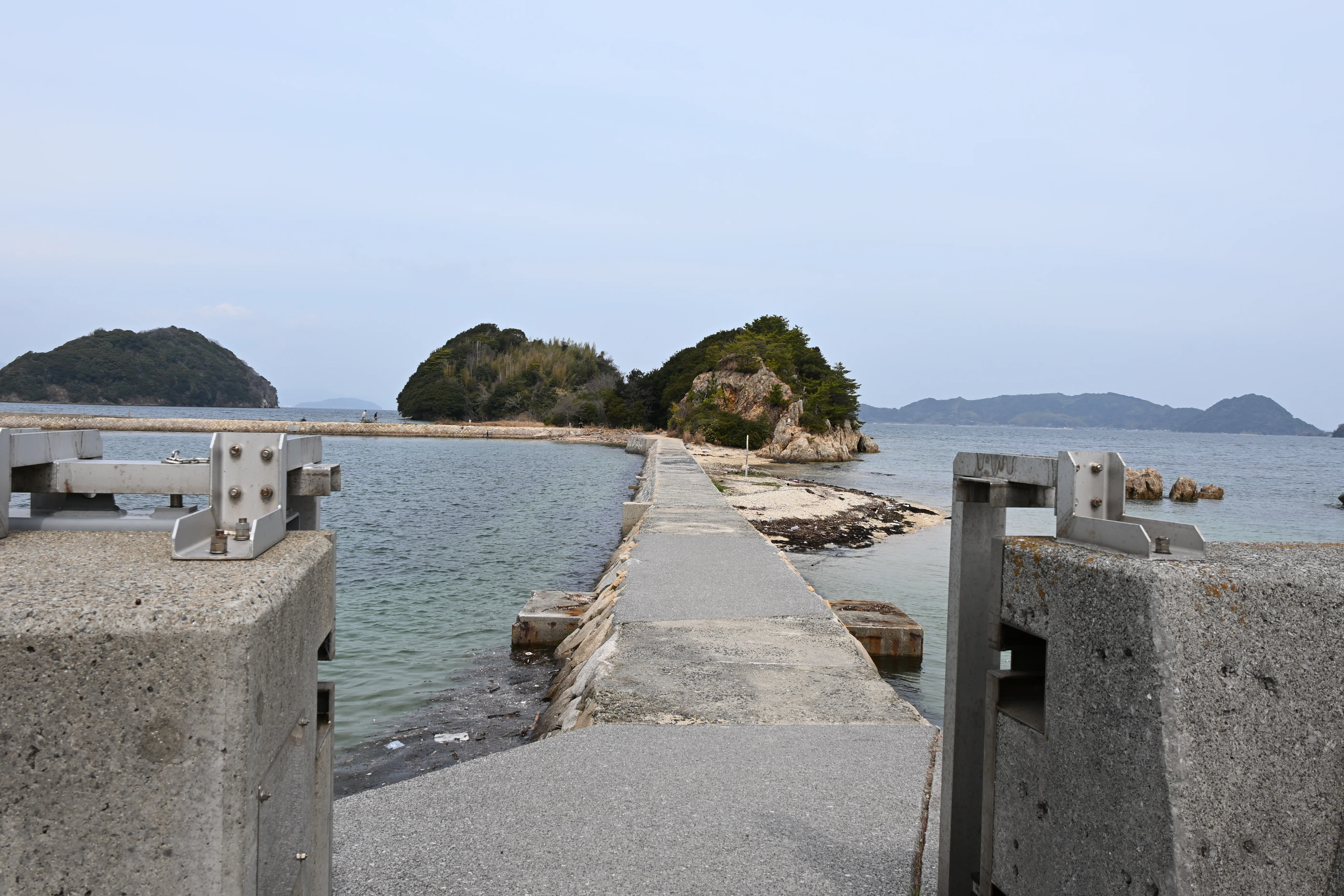 20260307_周防大島観光【Nikon Z50IIと観光】｜山ネズミ
