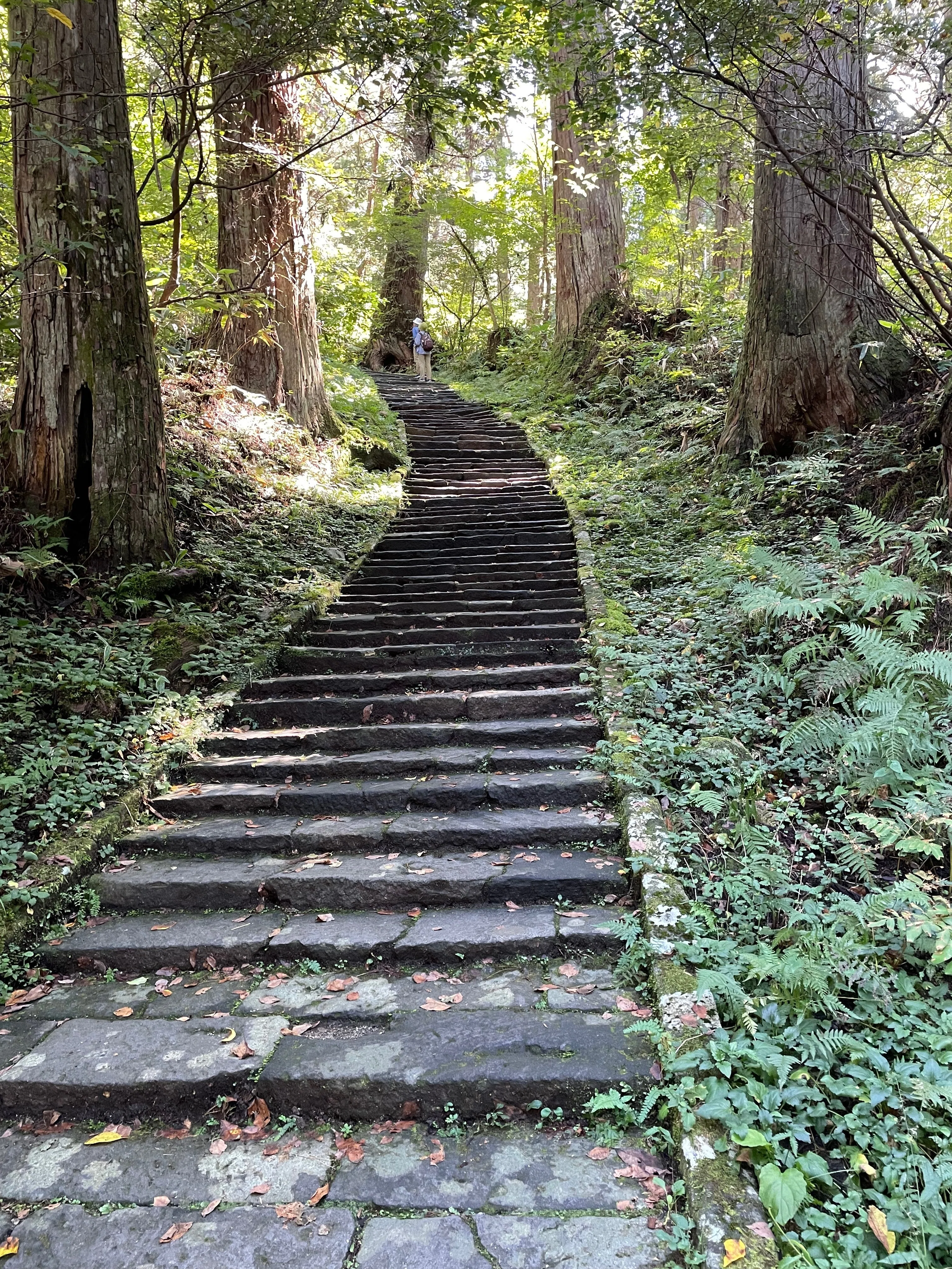 日本の美しき風景】 山形 羽黒山 | 山梨 西沢渓谷｜kumanon