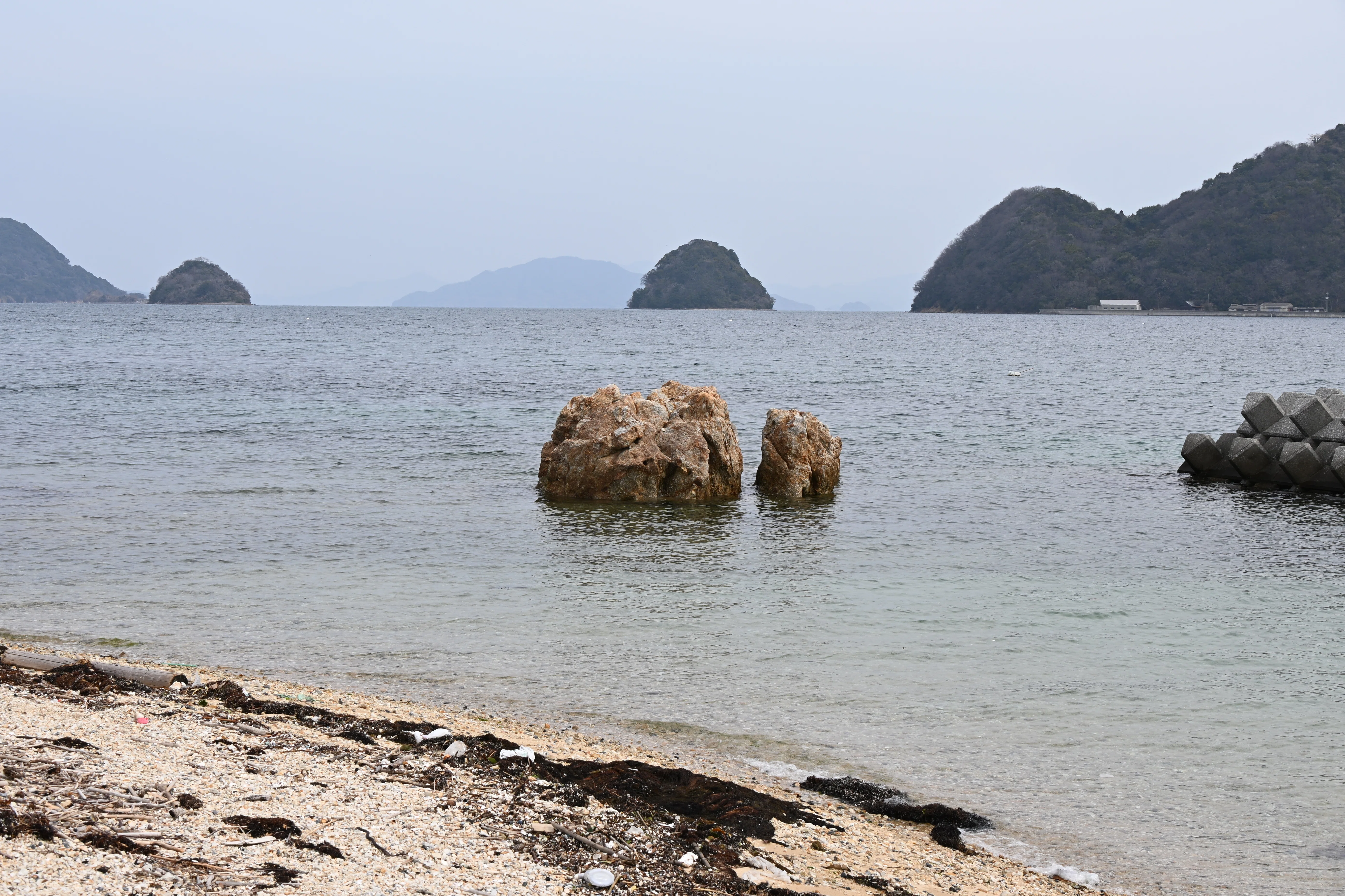 20260307_周防大島観光【Nikon Z50IIと観光】｜山ネズミ
