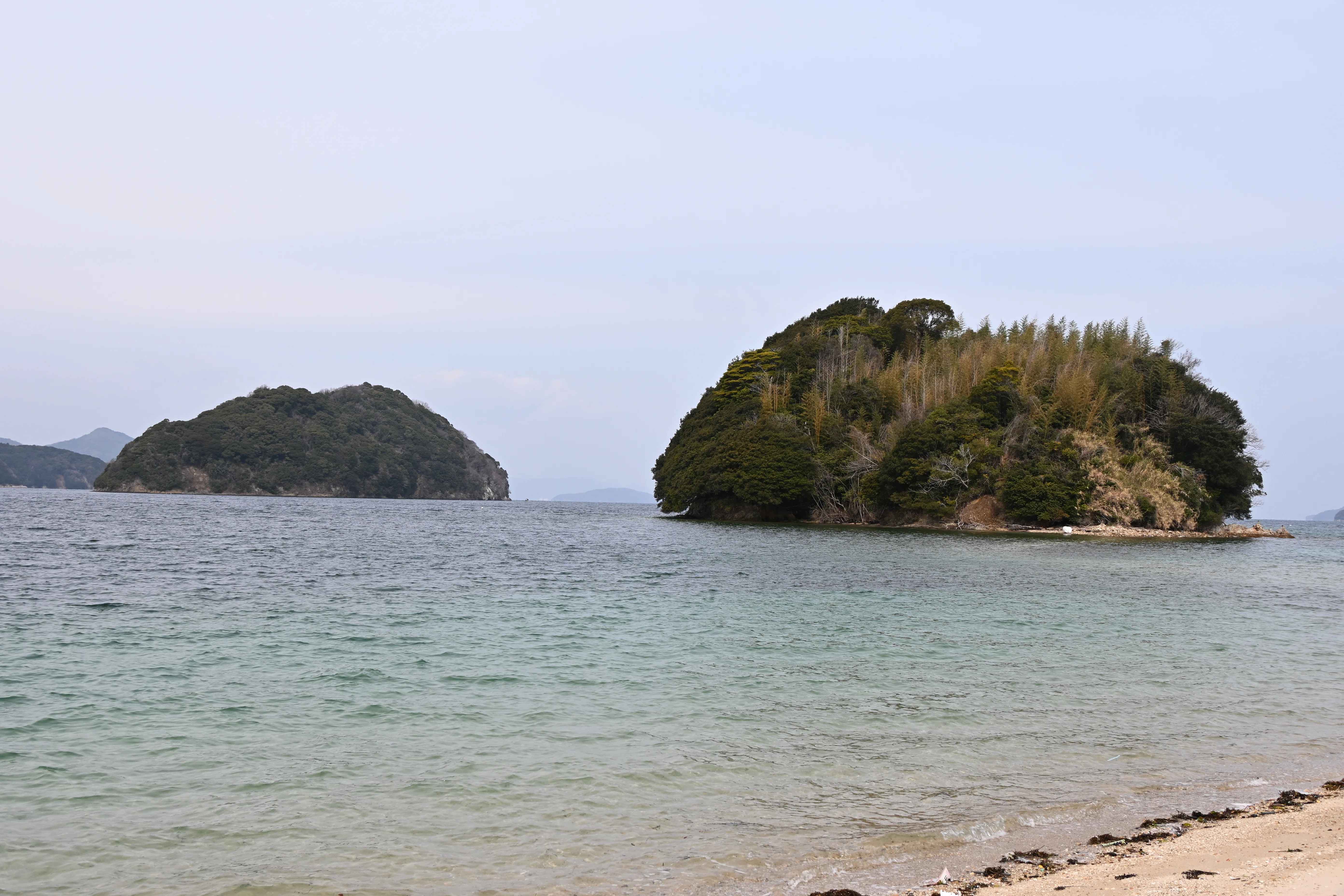 20260307_周防大島観光【Nikon Z50IIと観光】｜山ネズミ