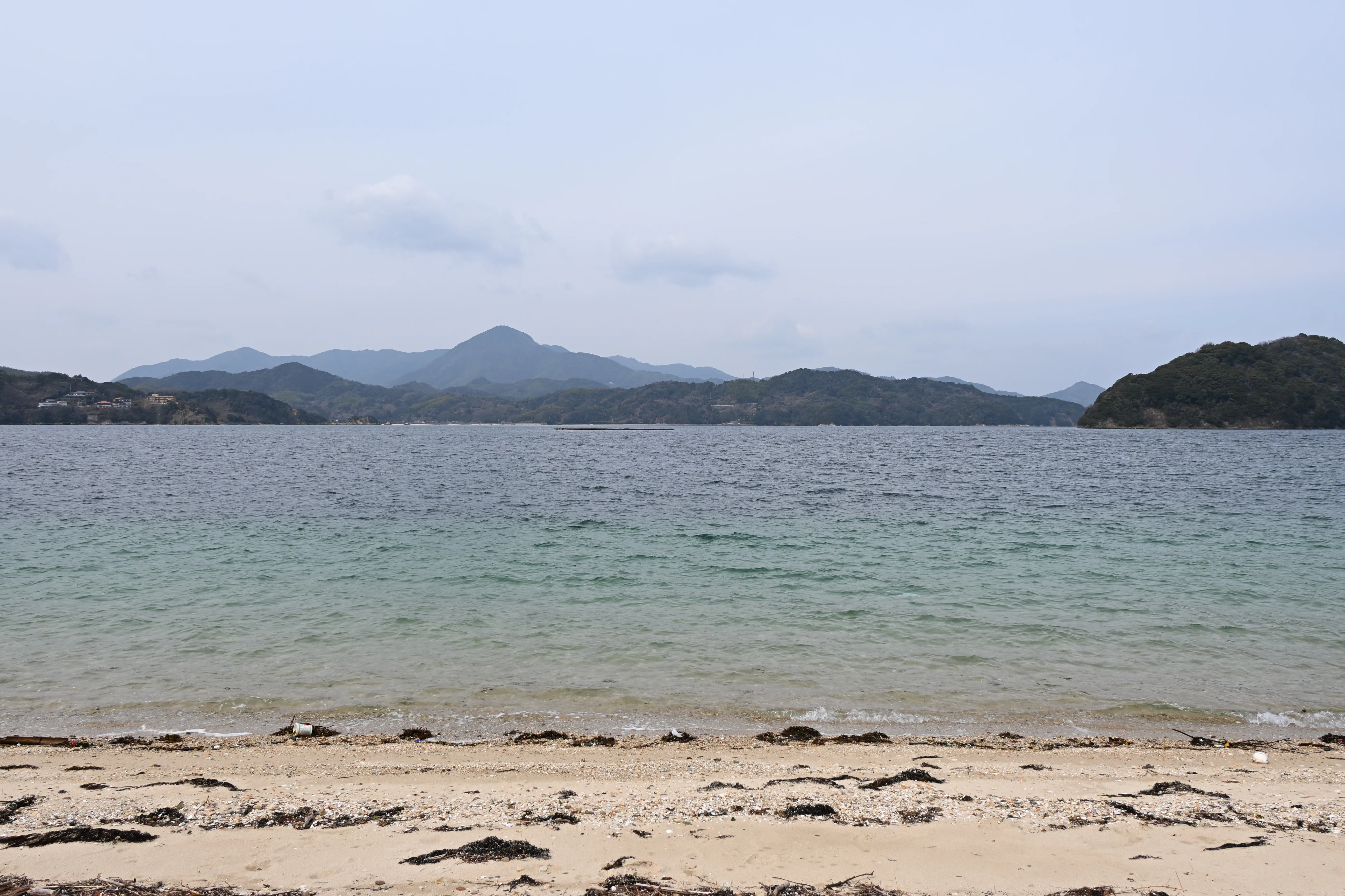 20260307_周防大島観光【Nikon Z50IIと観光】｜山ネズミ