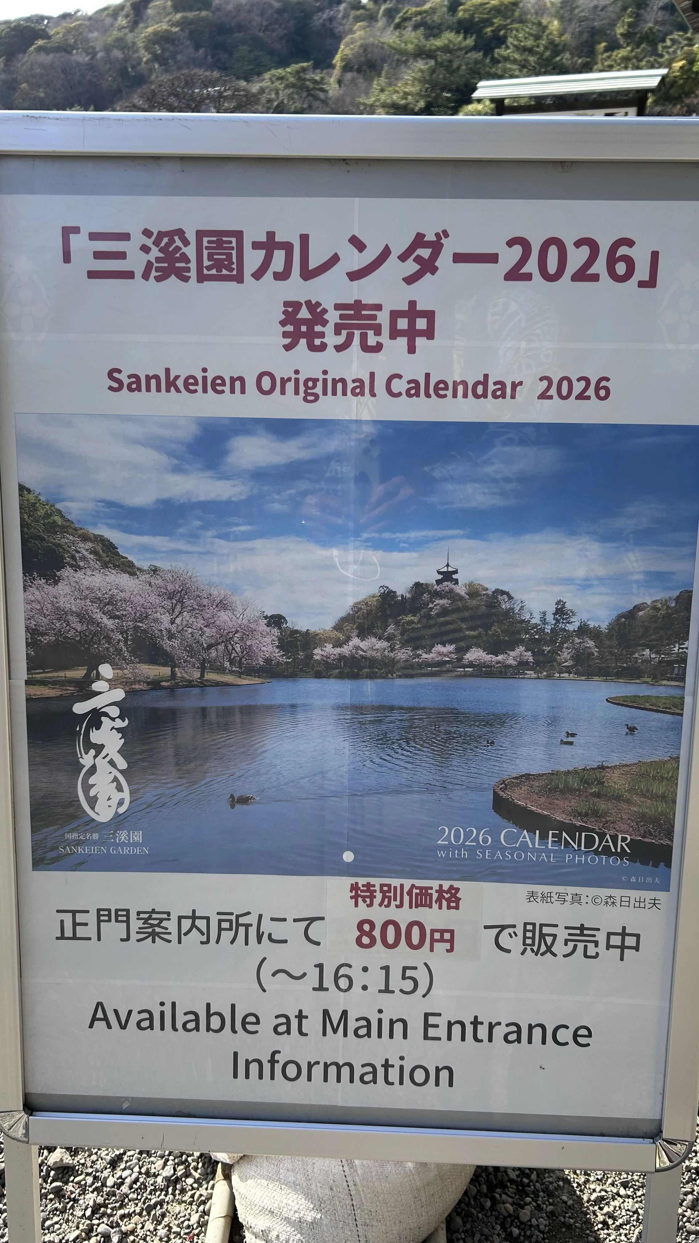 現地レポ】60代からの三溪園散策ガイド桜・歴史・グルメまで楽しむ横浜