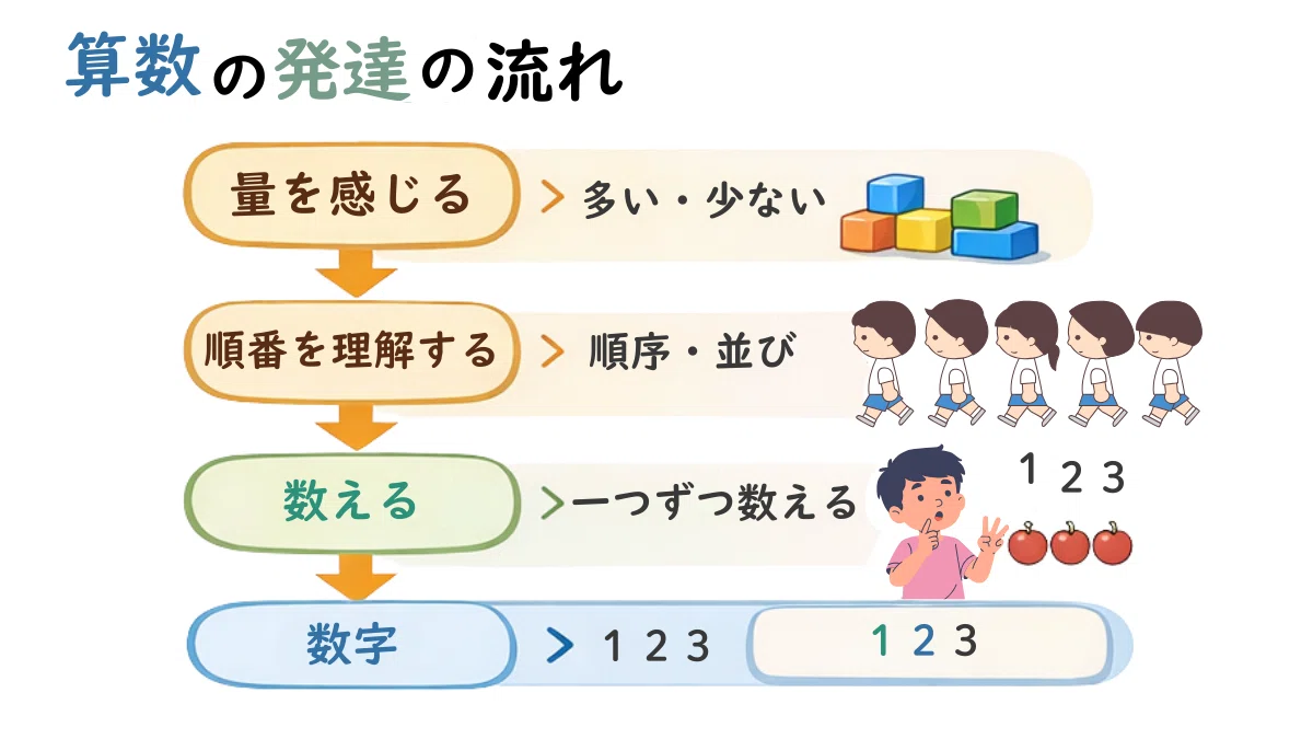 数はどうやって理解される?発達の順序から考える「算数の土台」|子もサポ|子どもに合わせたオーダーメイド発達相談
