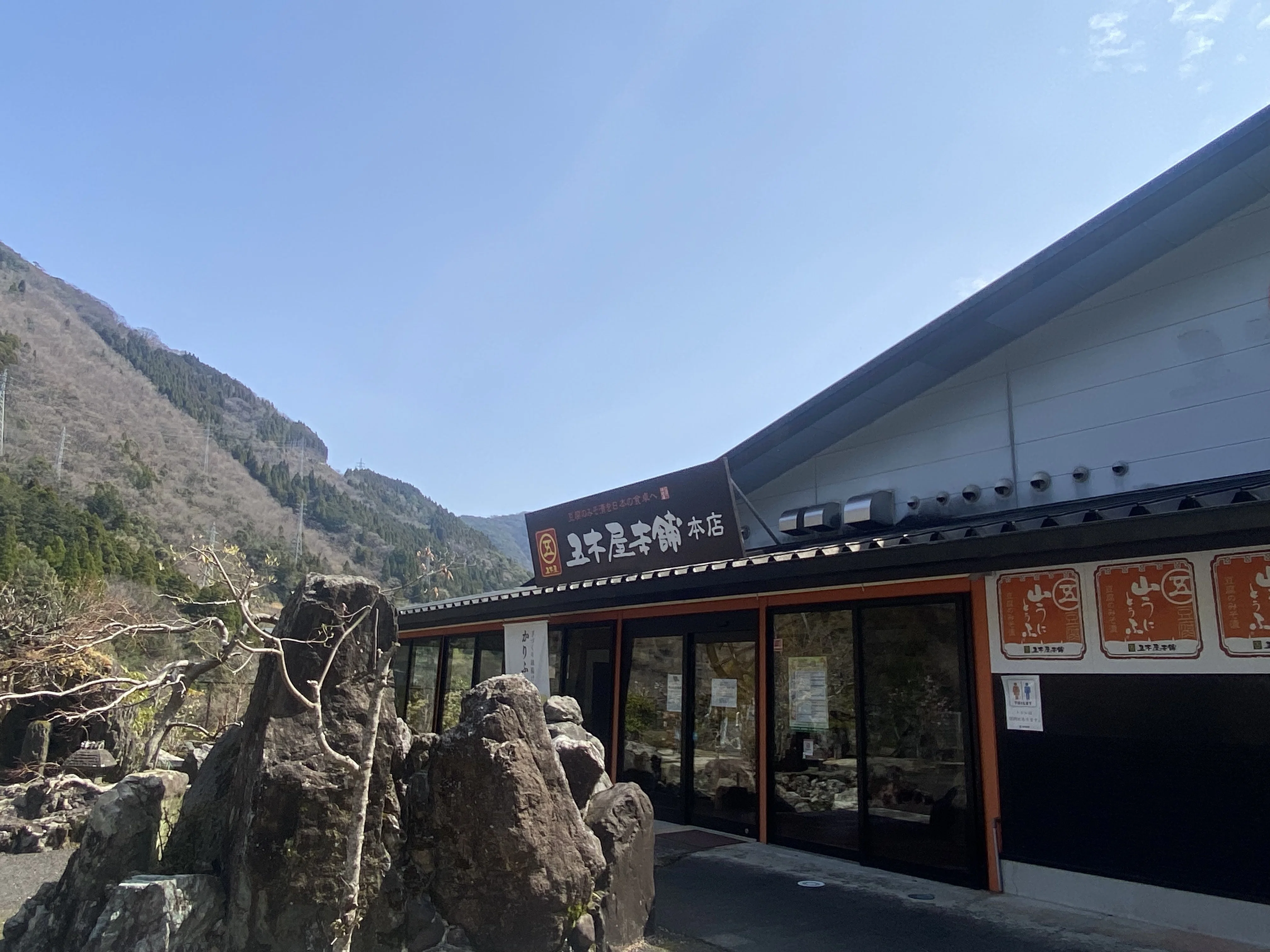 五木村「山うに豆腐」YORU.の隠れた人気おつまみの秘密｜YORU. Sweets