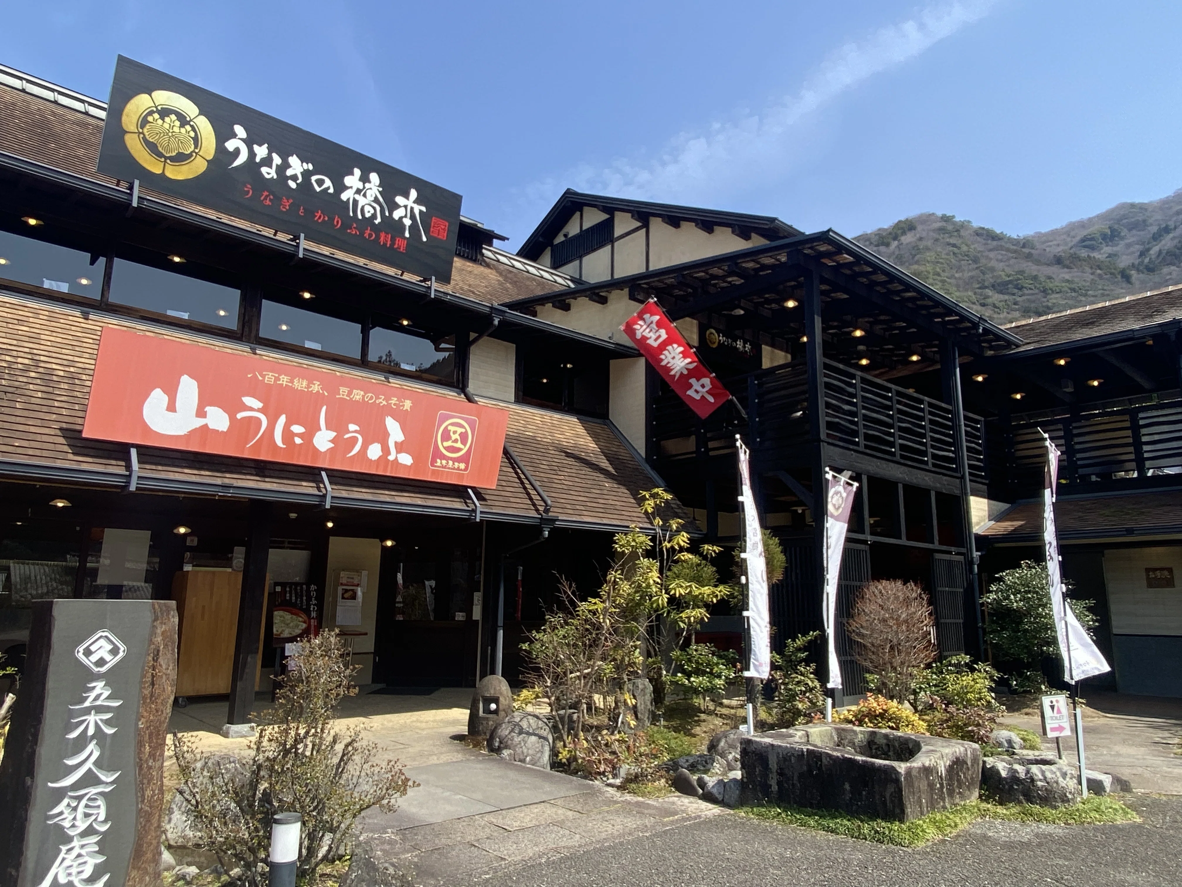 五木村「山うに豆腐」YORU.の隠れた人気おつまみの秘密｜YORU. Sweets