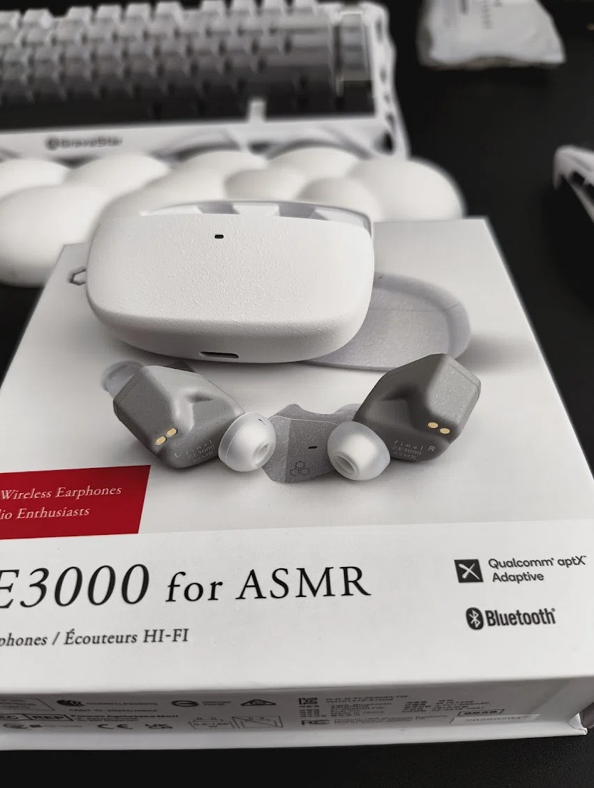 ASMR専用イヤホン・寝ホン比較】final ZE3000 for ASMR、ネットで言