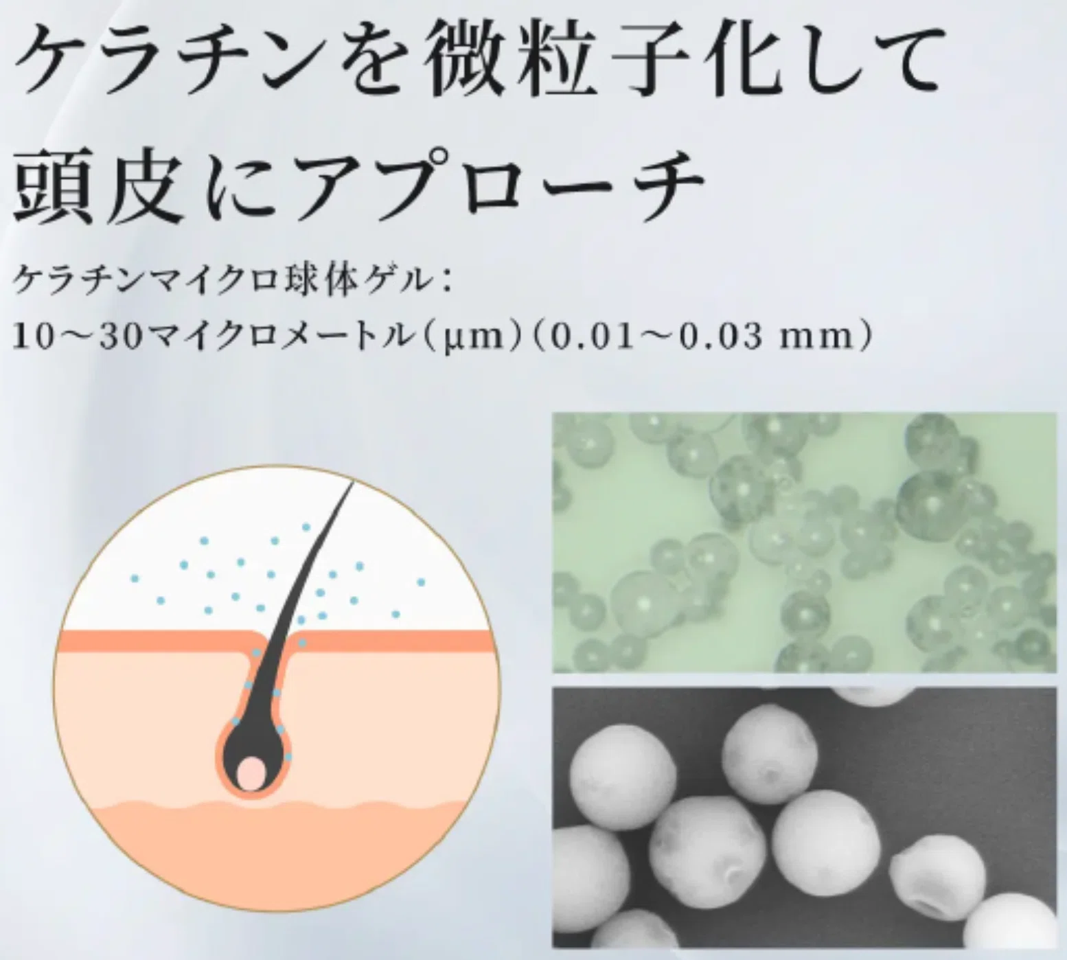 髪の悩みに科学で挑む。大学発の研究技術から生まれたヘアミスト「Q