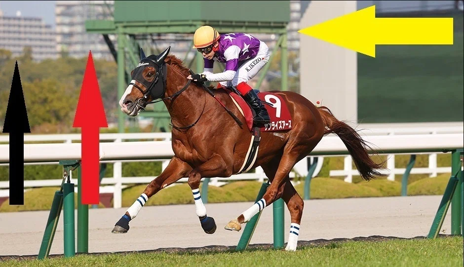 阪神大賞典・愛知杯2026 サイン馬券】阪神大賞典の画像に写し出された