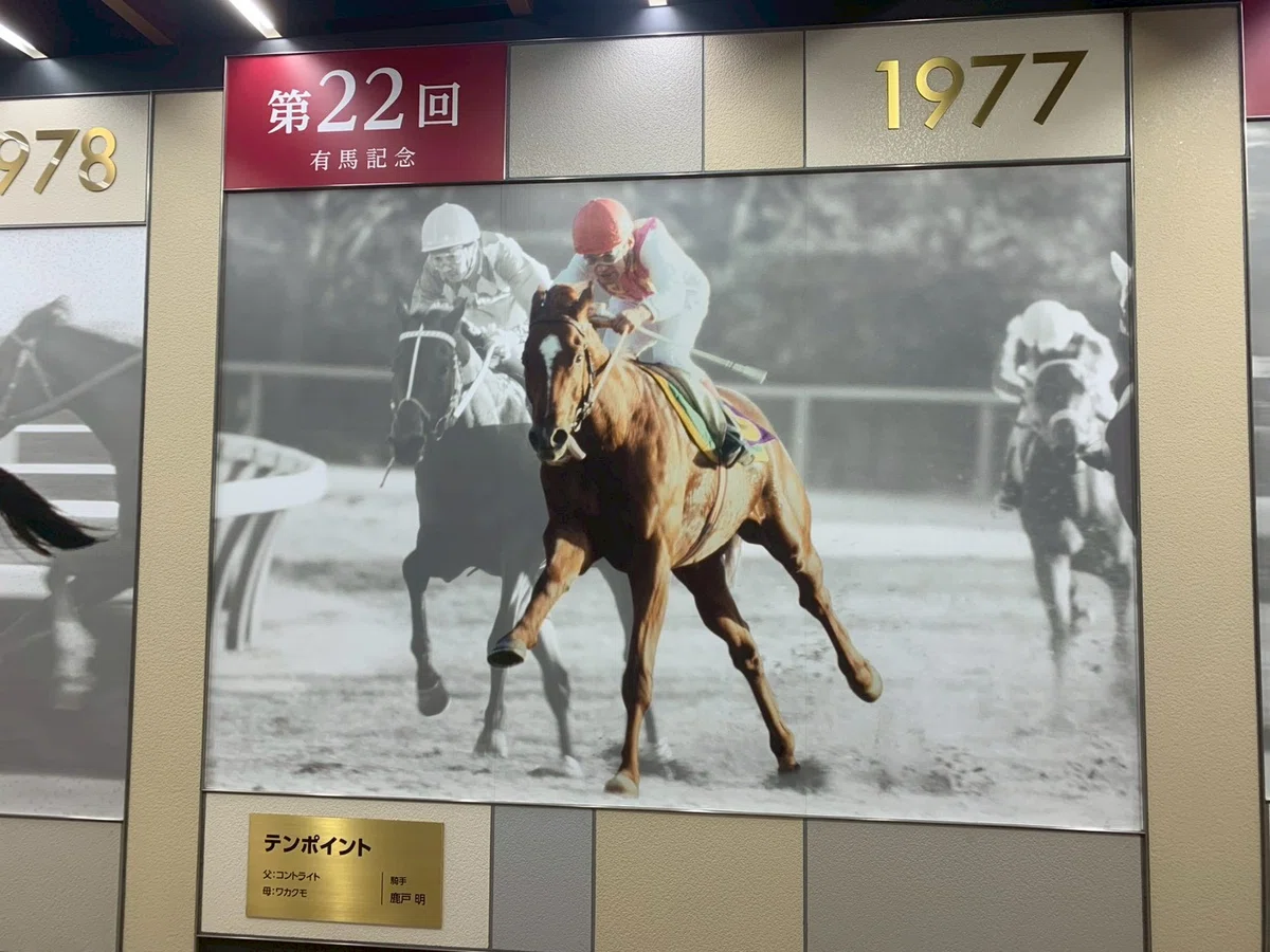 備忘録#14 オタクが一人で競馬場で乱高下を味わった回｜葵ゆーふぉの備忘録