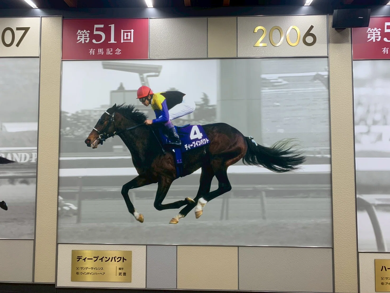 ディープインパクト 有馬記念 有馬記念単勝馬券 2005年100枚、2006年30 