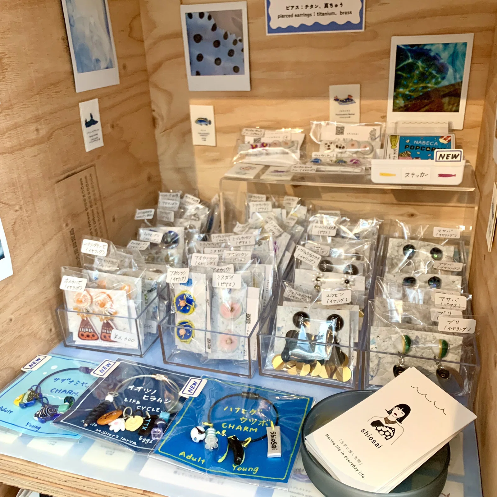 多様なサカナ・水生生物グッズが並ぶ『SAKANA APARTMENT』に入居する