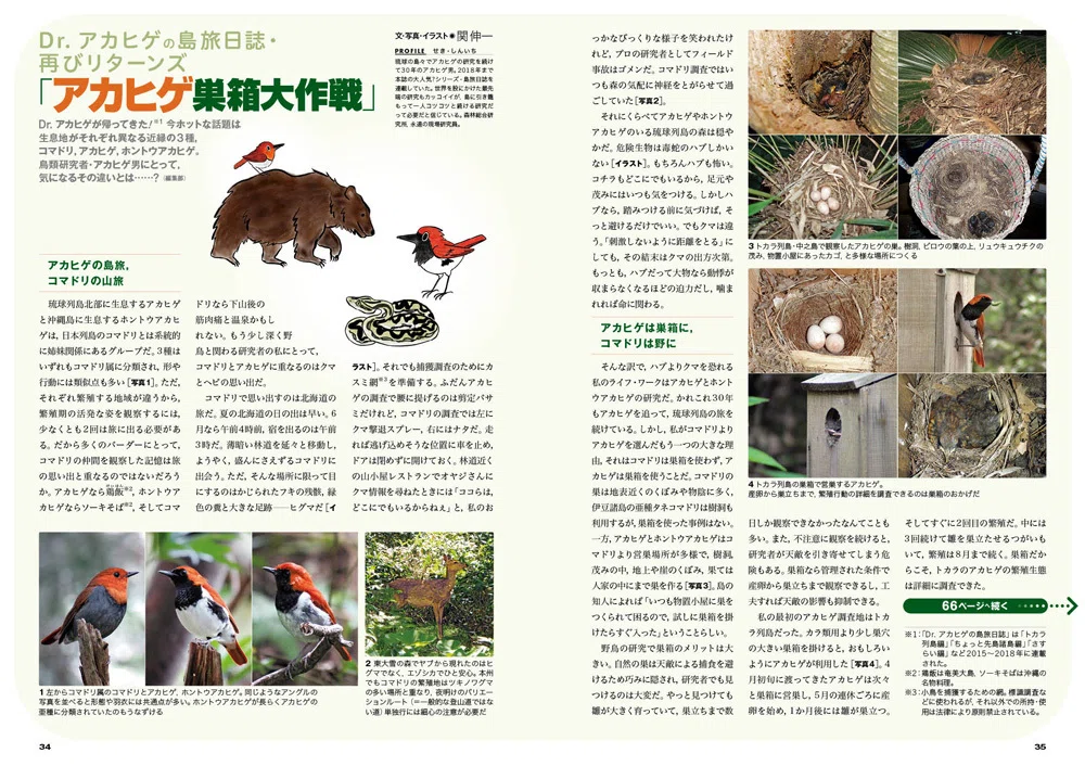 鳥ちん（※プロフ必読）　 BIRDER4月号の見どころ｜ブンイチ（文一総合出版）