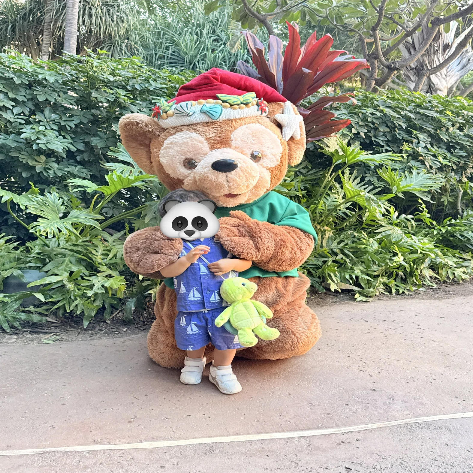 2歳とハワイ旅行｜やってよかったこと5選｜こぱん｜子どもと週末おでかけ