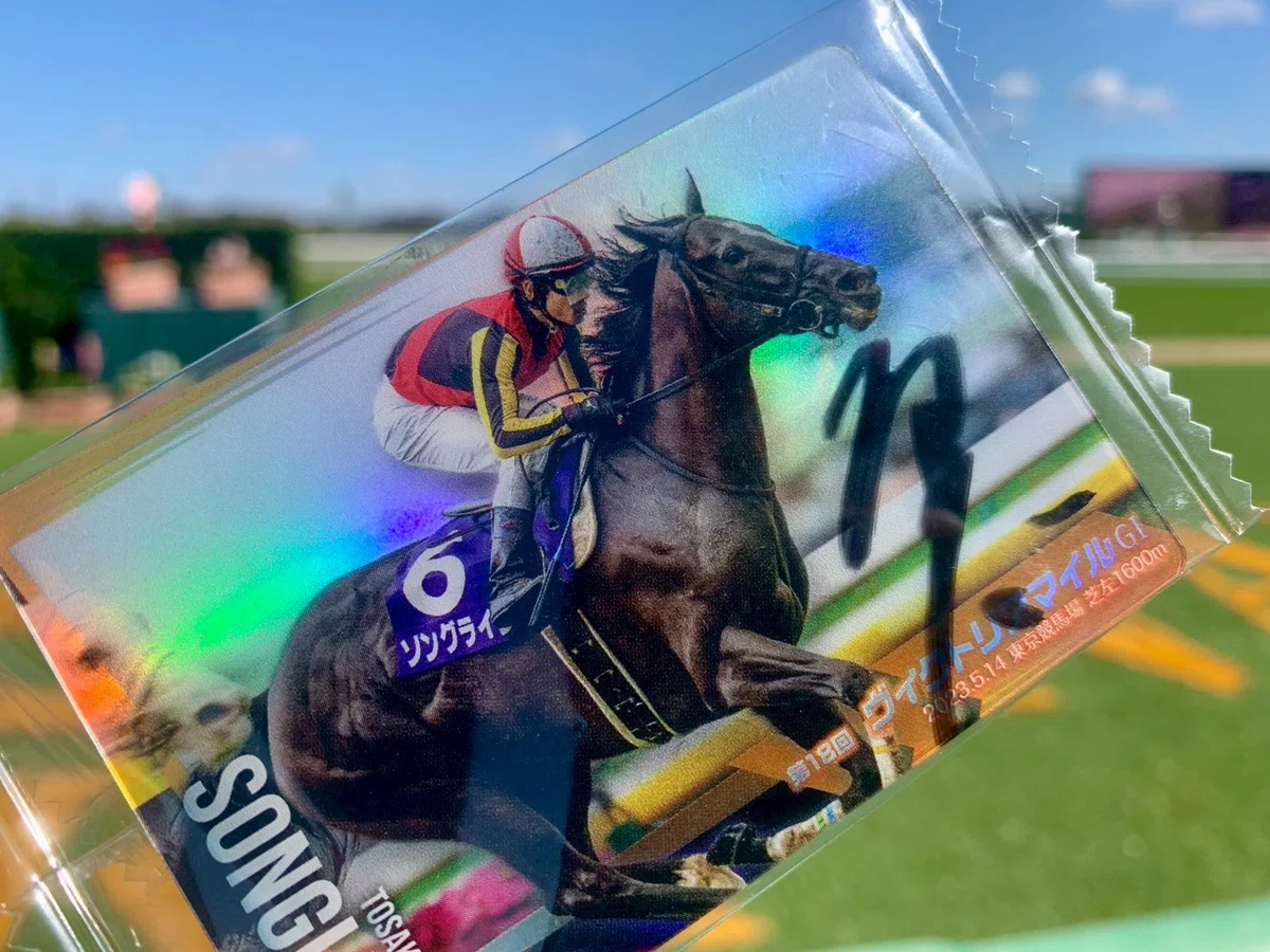 備忘録#14 オタクが一人で競馬場で乱高下を味わった回｜葵ゆーふぉの備忘録