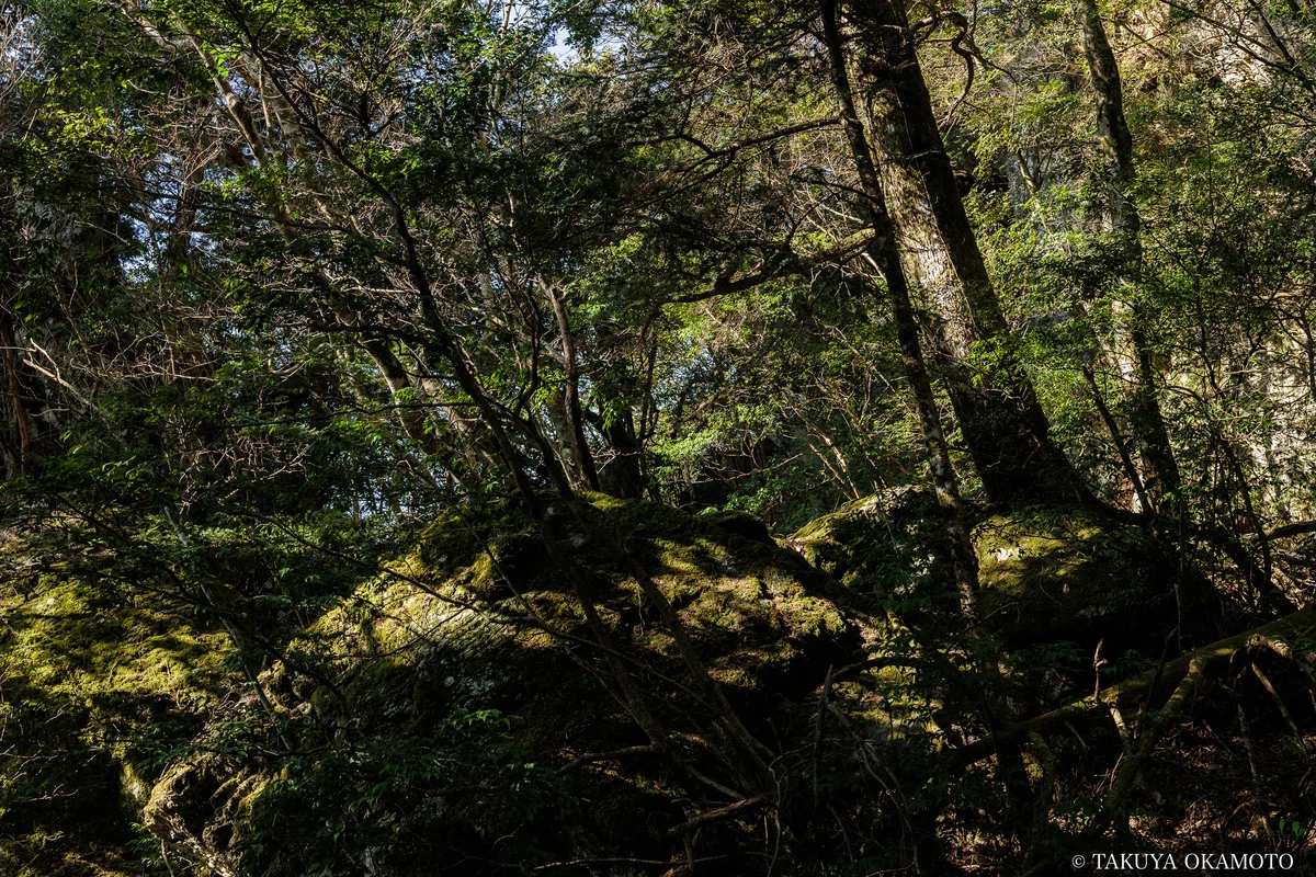 工石山の妙体岩ルートの風景
