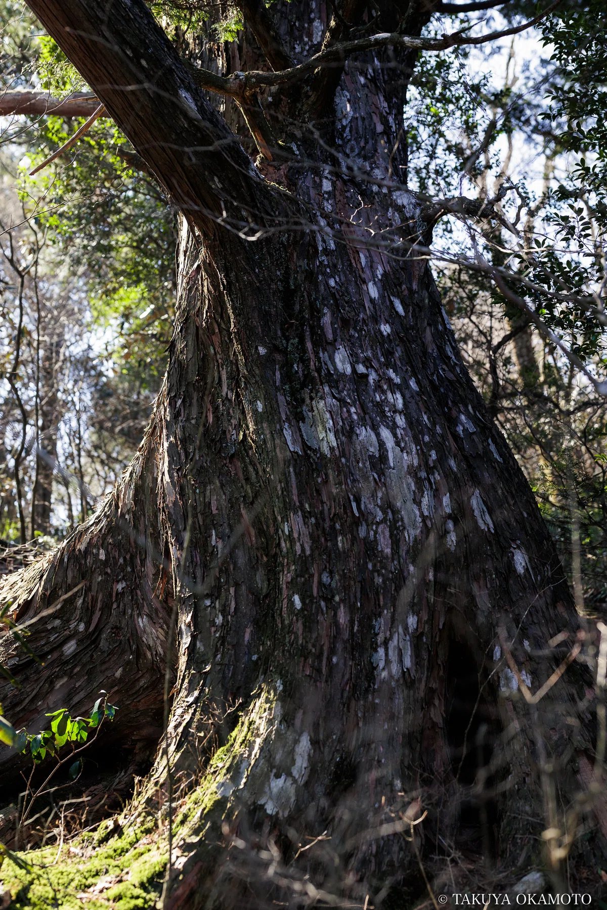 工石山、南まわりの風景