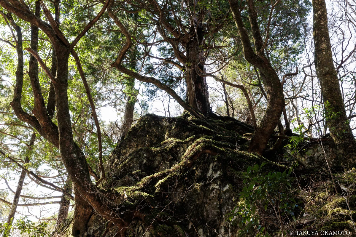 工石山、賽の河原線の風景