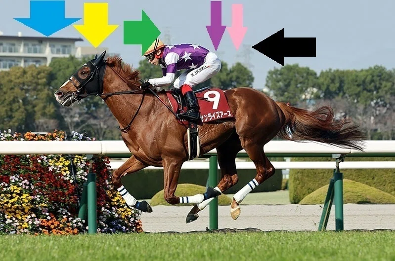 阪神大賞典・愛知杯2026 サイン馬券Part2】阪神大賞典の画像からの3