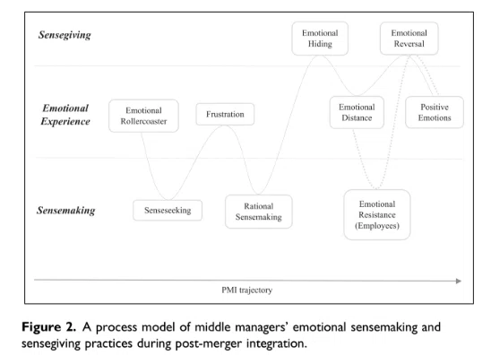 [Paper Memo 261] The Role of Emotions in Middle Managers' Sensemaking ...