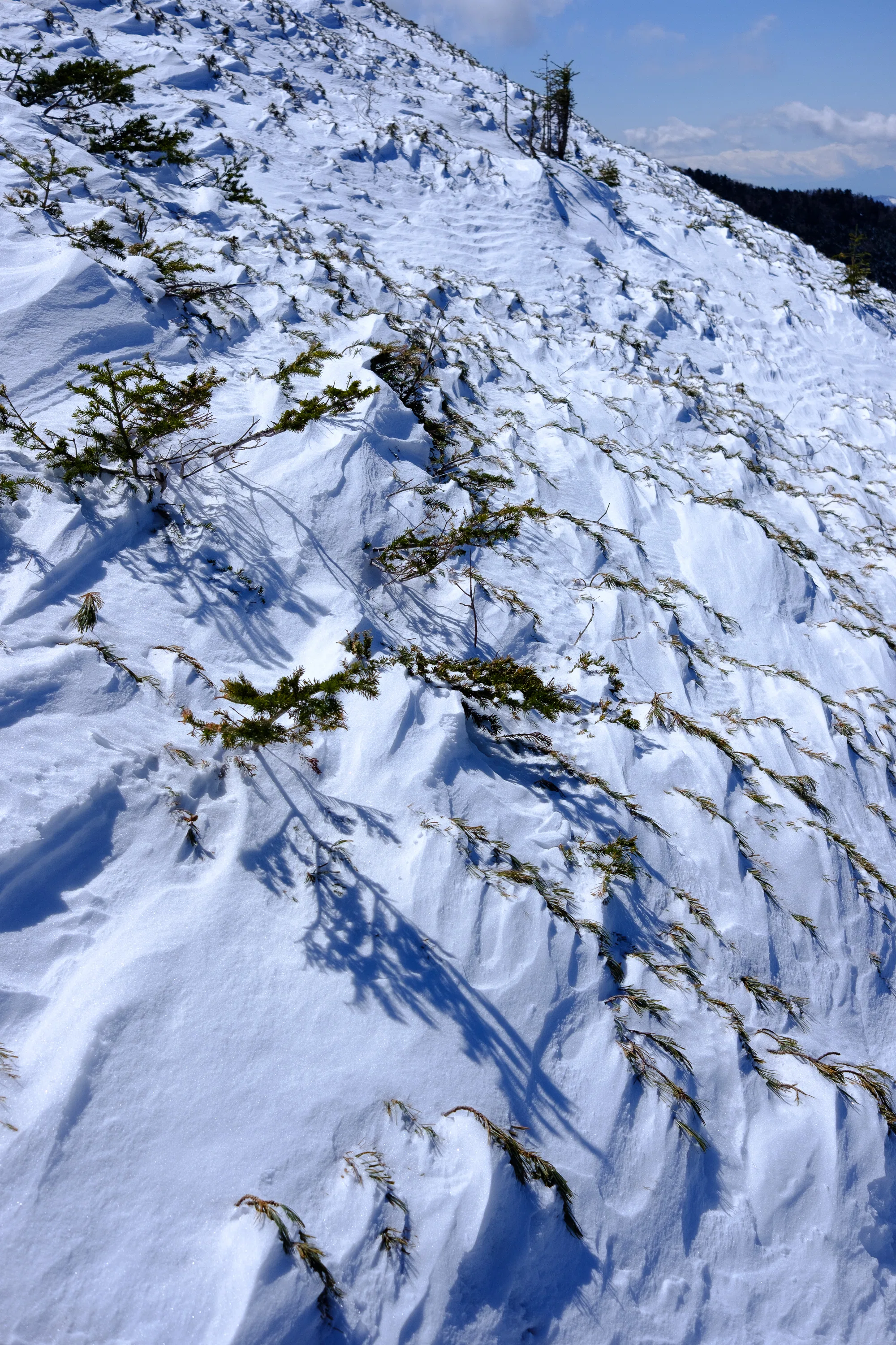 積雪期の南八ヶ岳・硫黄岳を山歩き｜yamadagawa