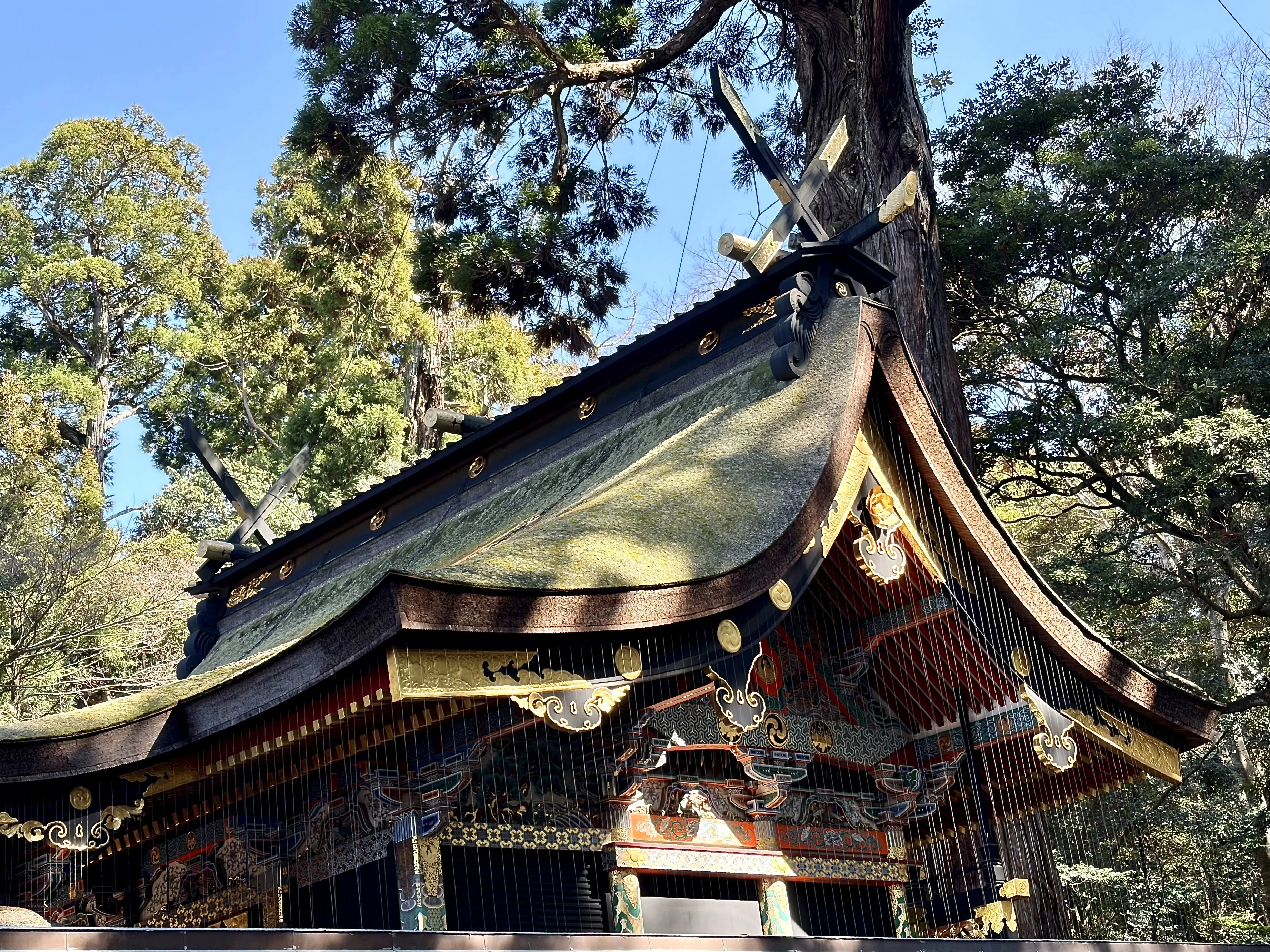 鹿島神宮】勝利の神とそれを超える神｜ありえそうにない伝説は真実か