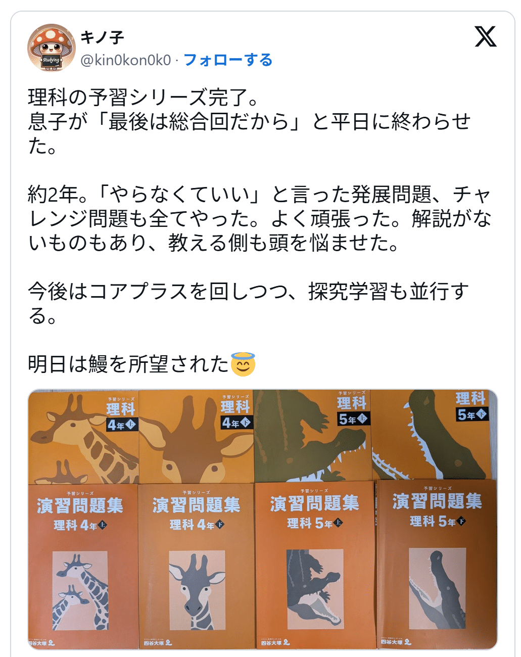 理科の基礎総復習に理科コアプラスを選んだ理由と我が家の使い方｜キノ子