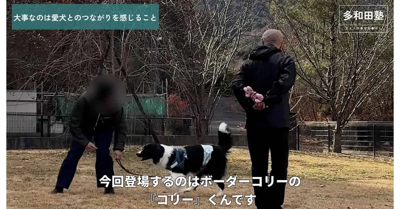 愛犬と過ごせる時間には限りがある、だからこそ人も犬も楽しむ｜多和田