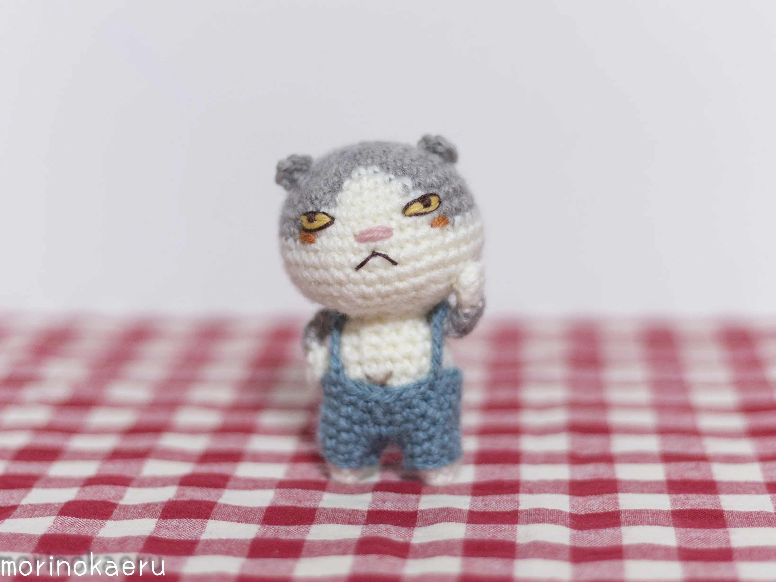 ブサ🐱ハチワレにゃんこ。｜もりの🌳かえる