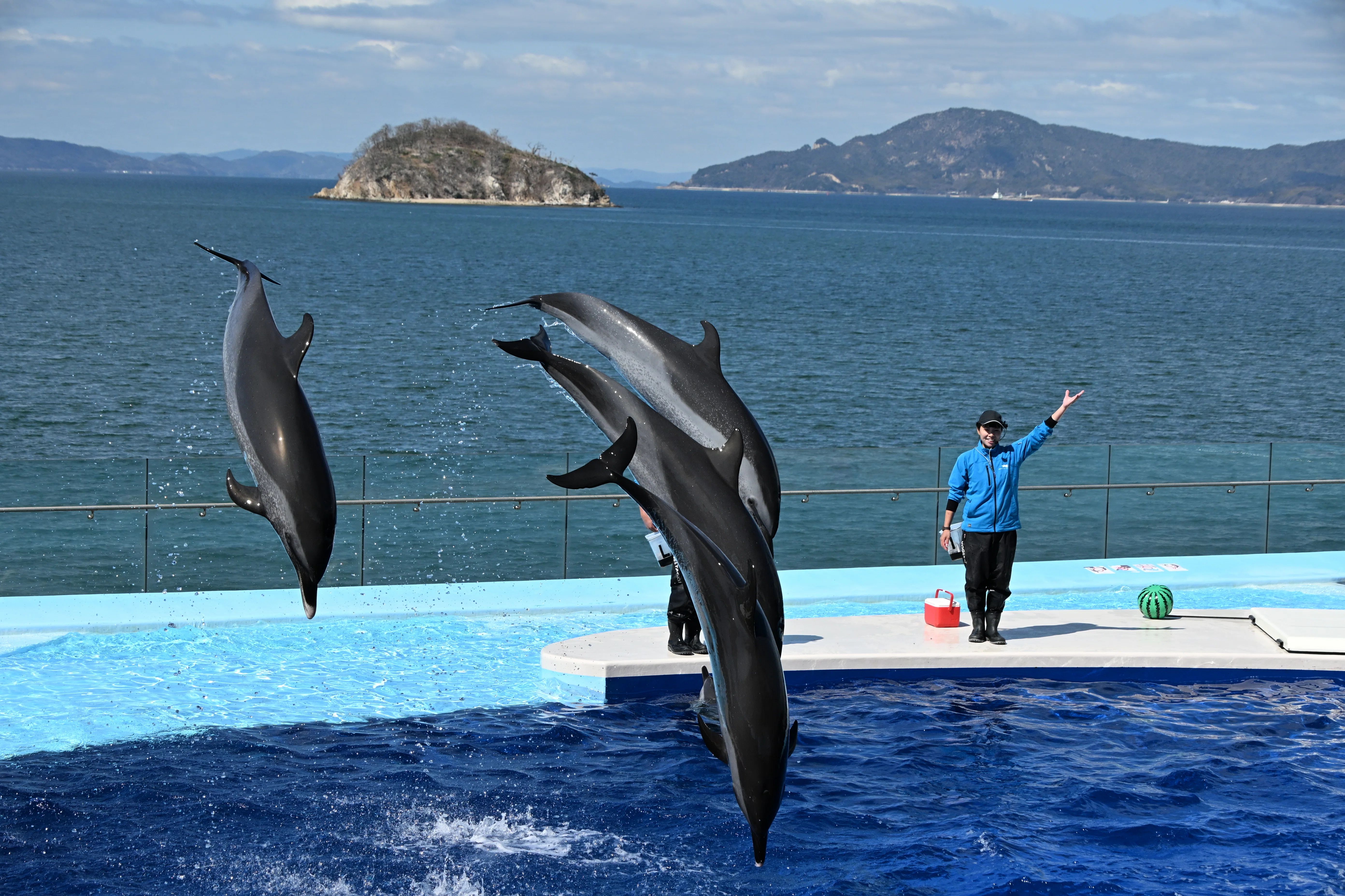 20260314_四国水族館【Nikon Z50IIと水族館】｜山ネズミ