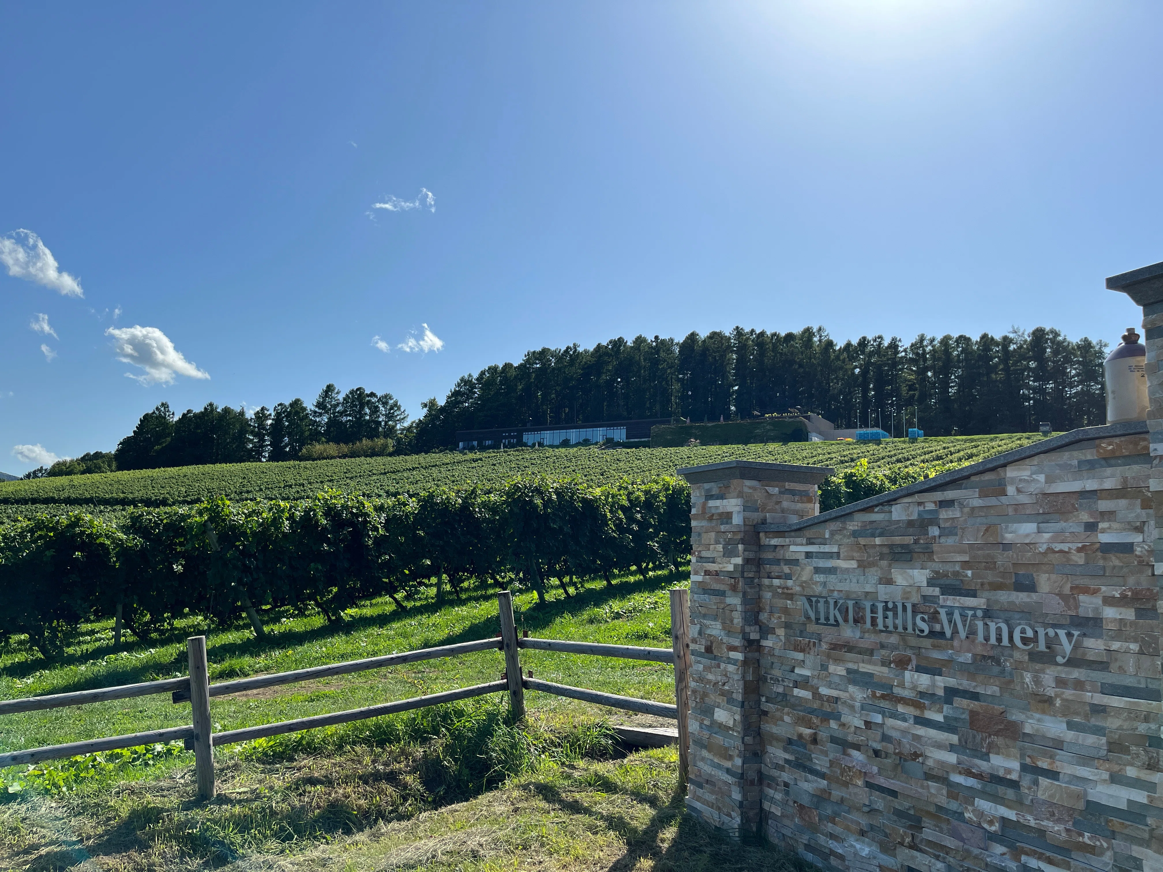 北海道 日本ワイン6本セット NIKIHills Winery ＊希少＊レア NIKI Hills Winery！「ワイン紅茶」を3月8日の国際女性デーに合わせて