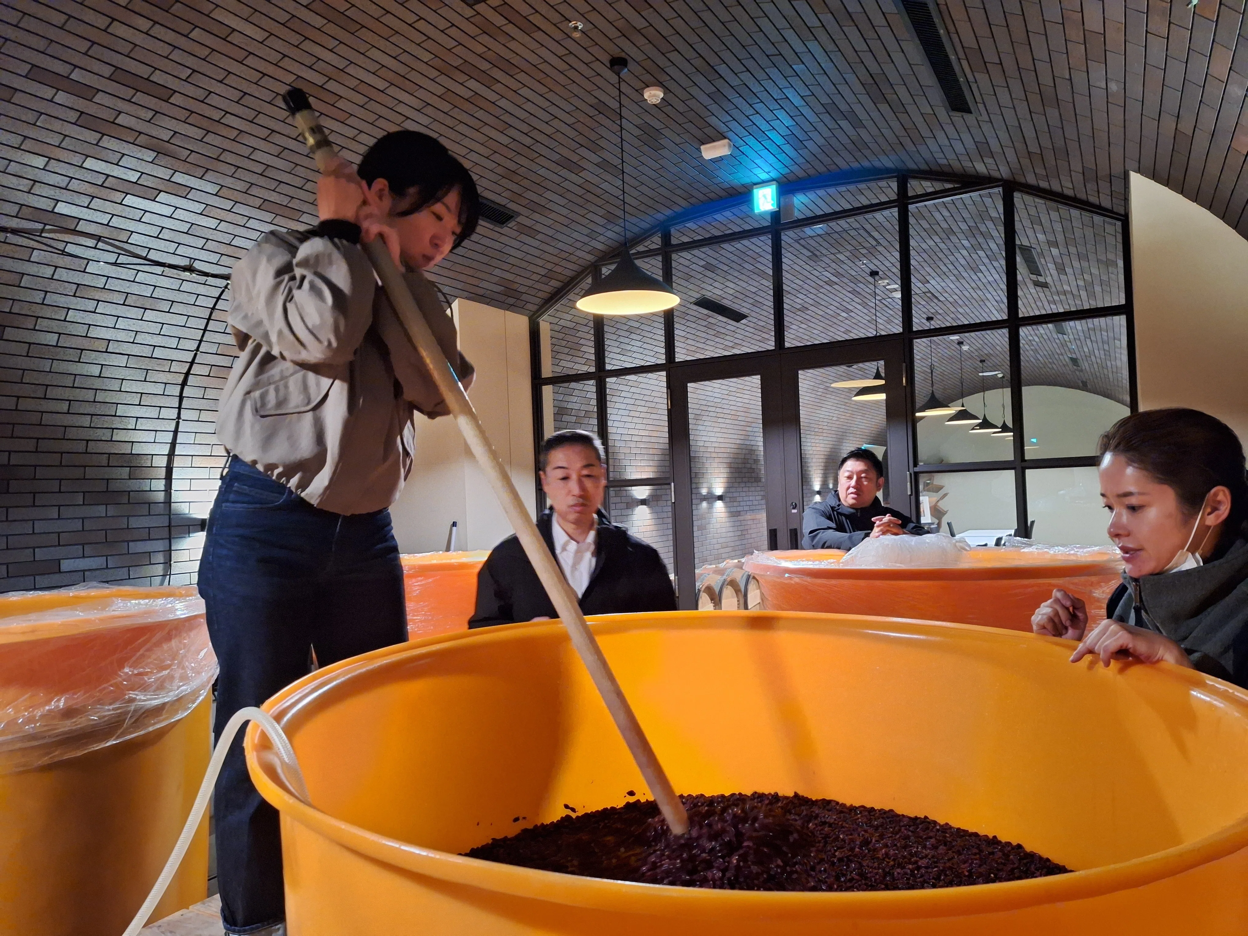 世界に誇れるワイン造りに挑戦する仁木町の「NIKI Hills Winery