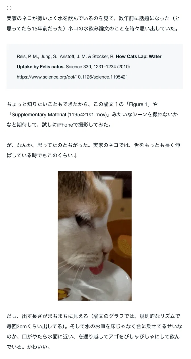 こねこの水飲み 考（暫定）｜shiomikozue