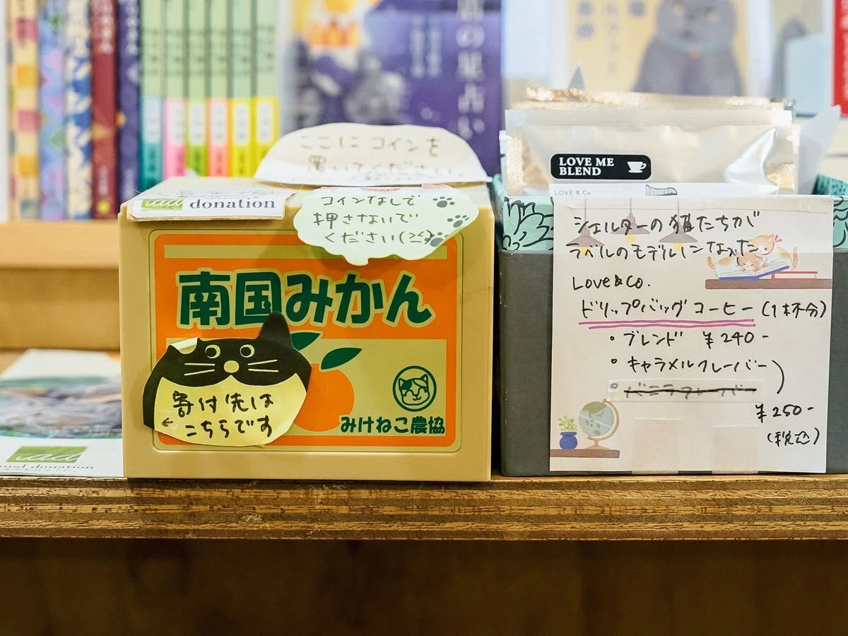 やりたいことは口に出す。ニャンともしなやかな生存戦略ーCat's Meow