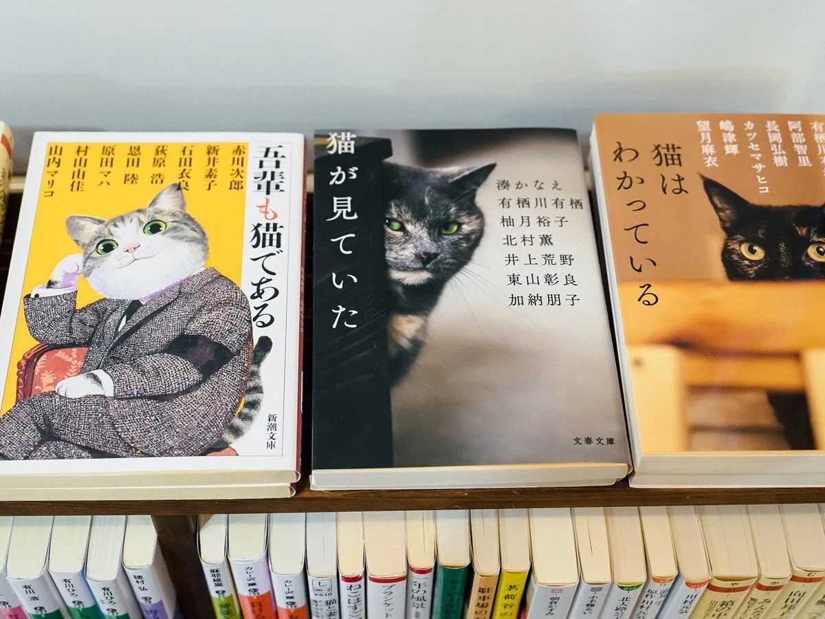 やりたいことは口に出す。ニャンともしなやかな生存戦略ーCat's Meow