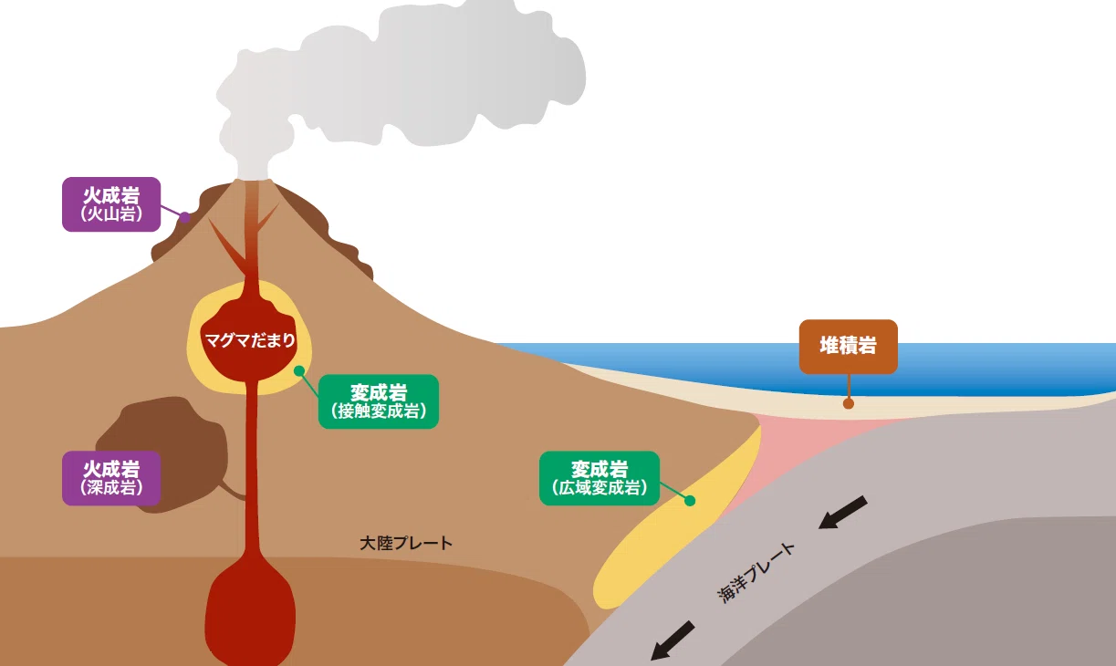 公の場での発言・インタビュー報道記録