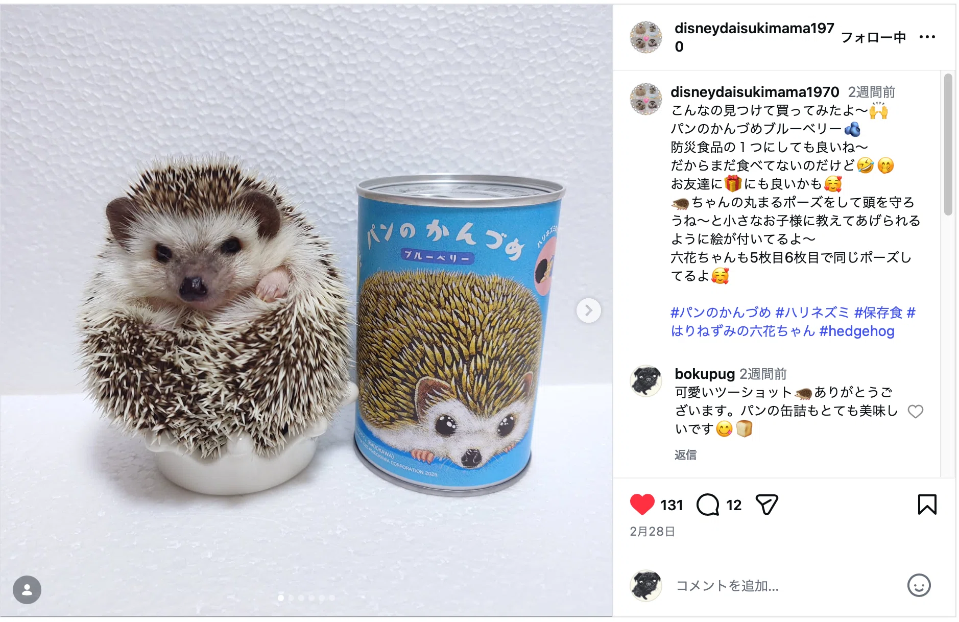 ハリネズミ】可愛すぎる『パンのかんづめ』写真が届きました♪｜金澤麻由子