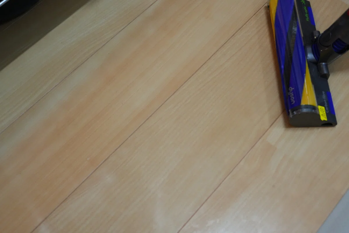 Dyson V12 Detect Slim Fluffy (SV46 FF EX) Optic ライト